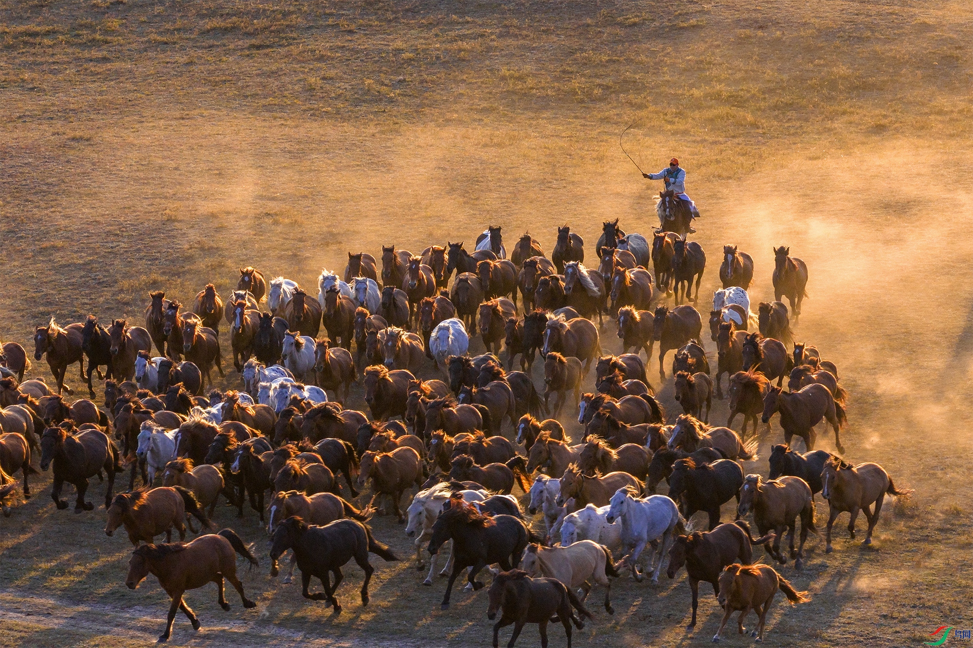 DJI_20250922174231_0341_D ���� 2-1.jpg