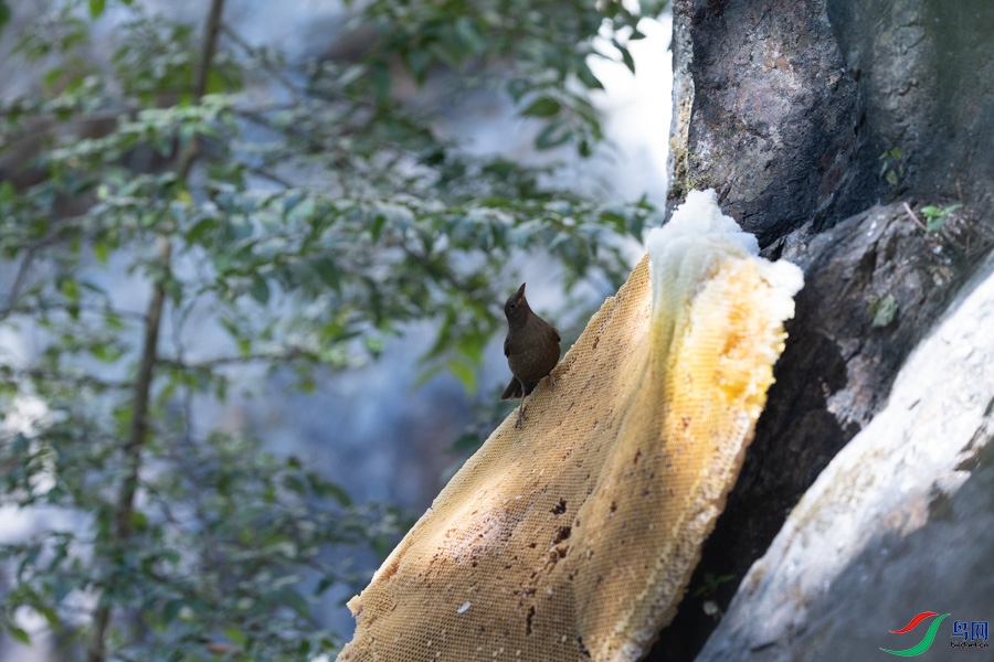 Z_655.jpg