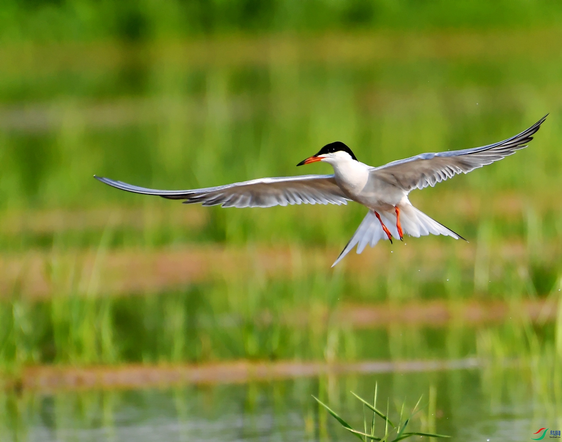 DSC_0426�븡Ÿ.jpg