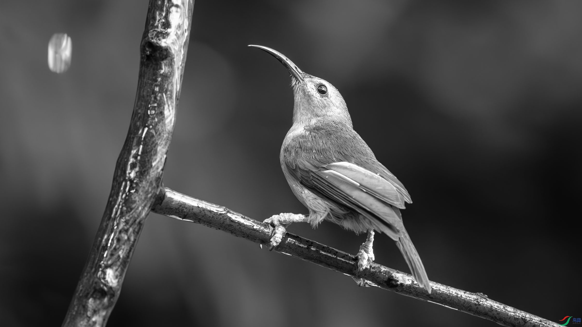 DSC09708-1.jpg
