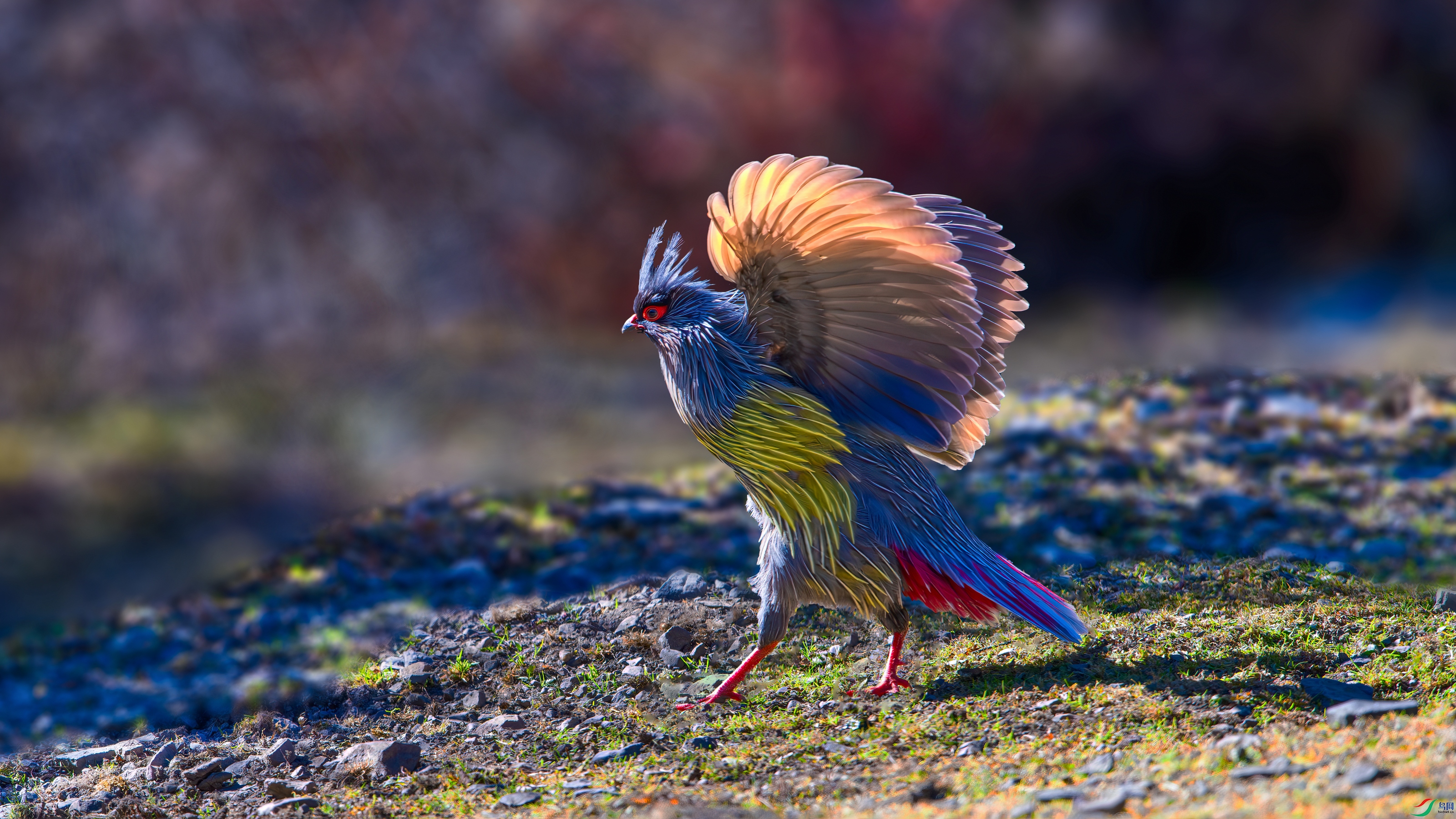 ��ƬDSC_4871-����ǿ-NR.jpg