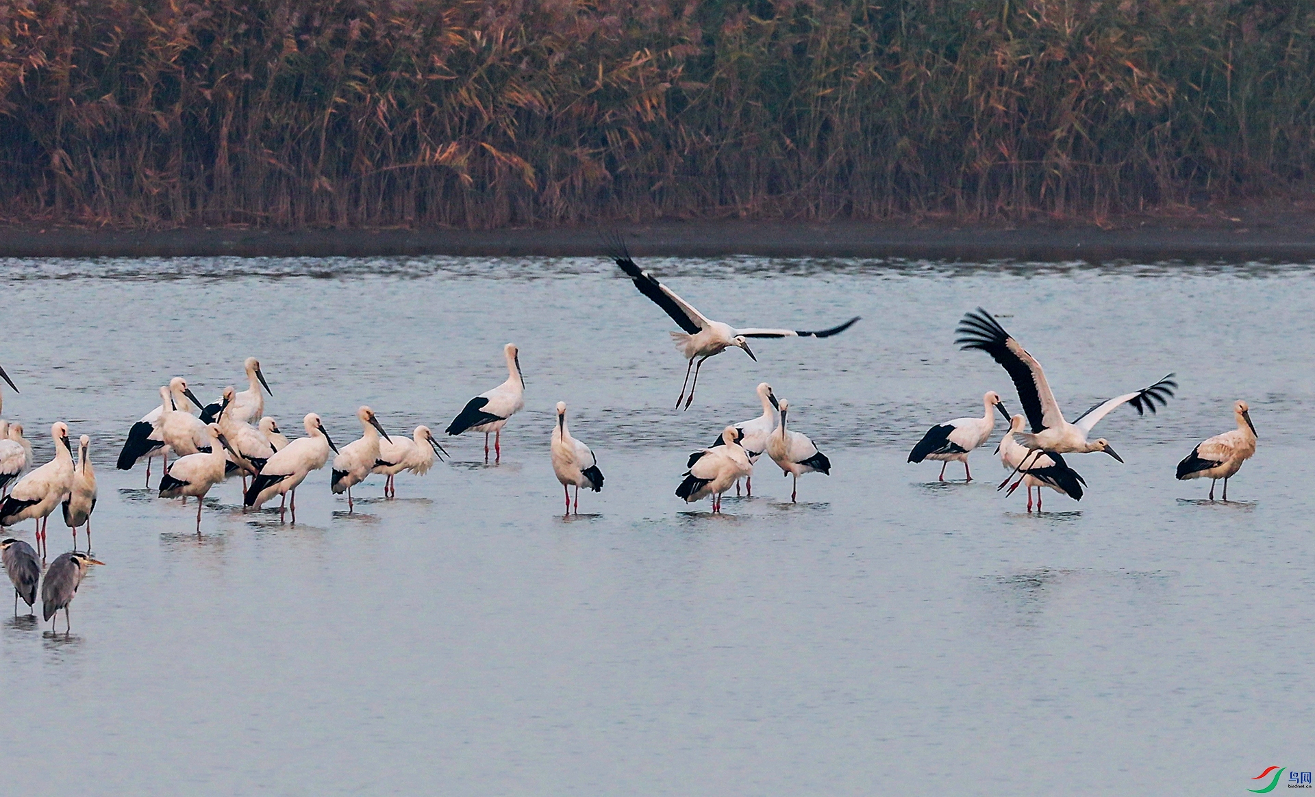 10��31�� (1)(1)-1.jpg