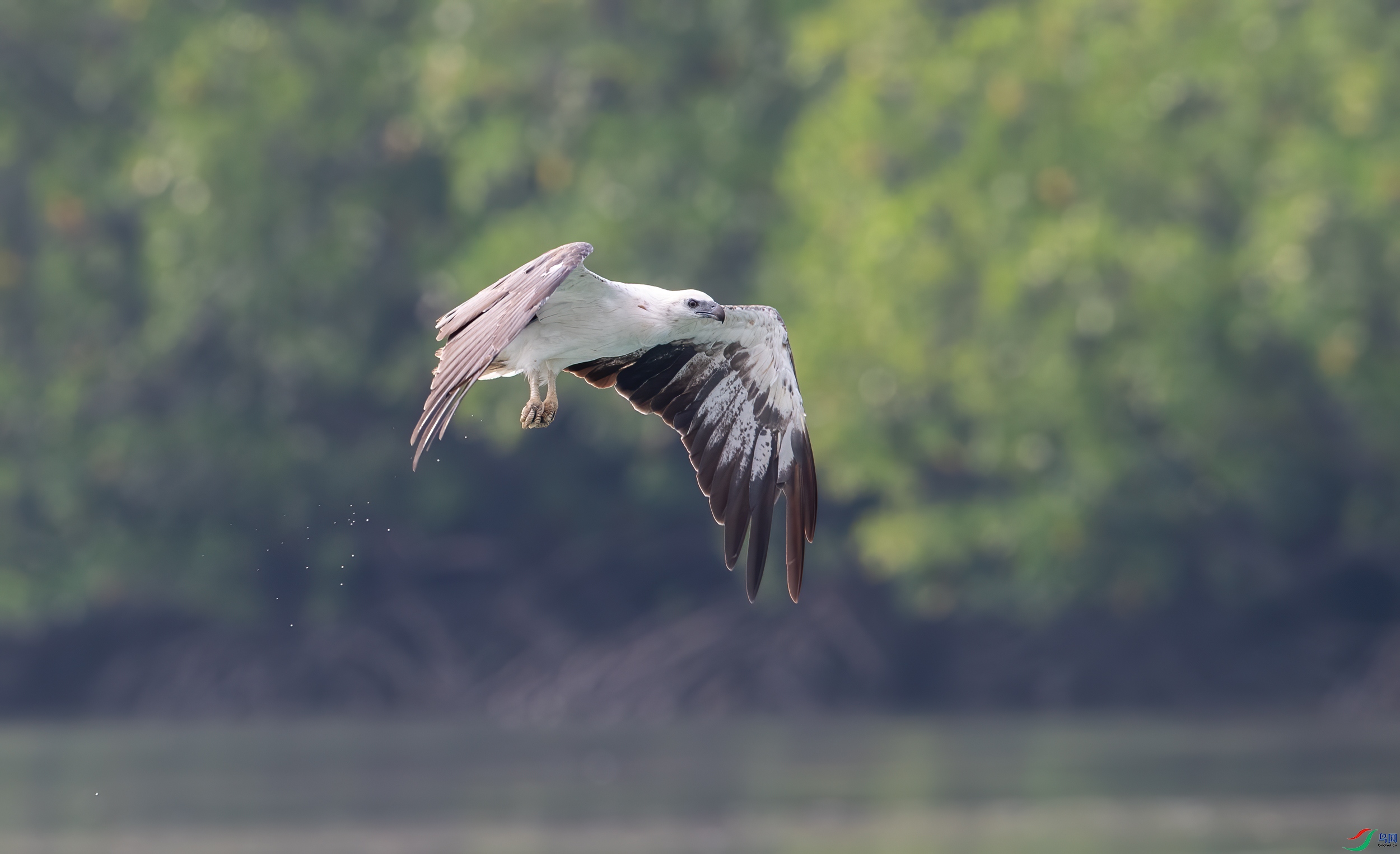 DSC_5912-11.jpg