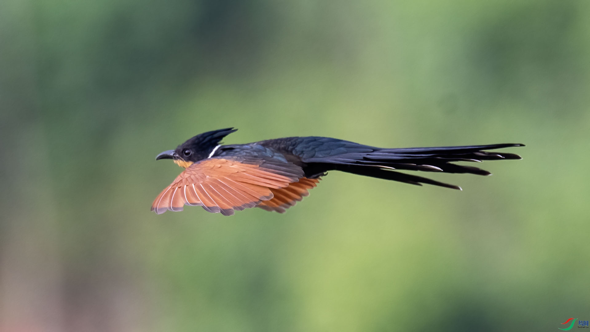 _DSC0036 ����.jpg