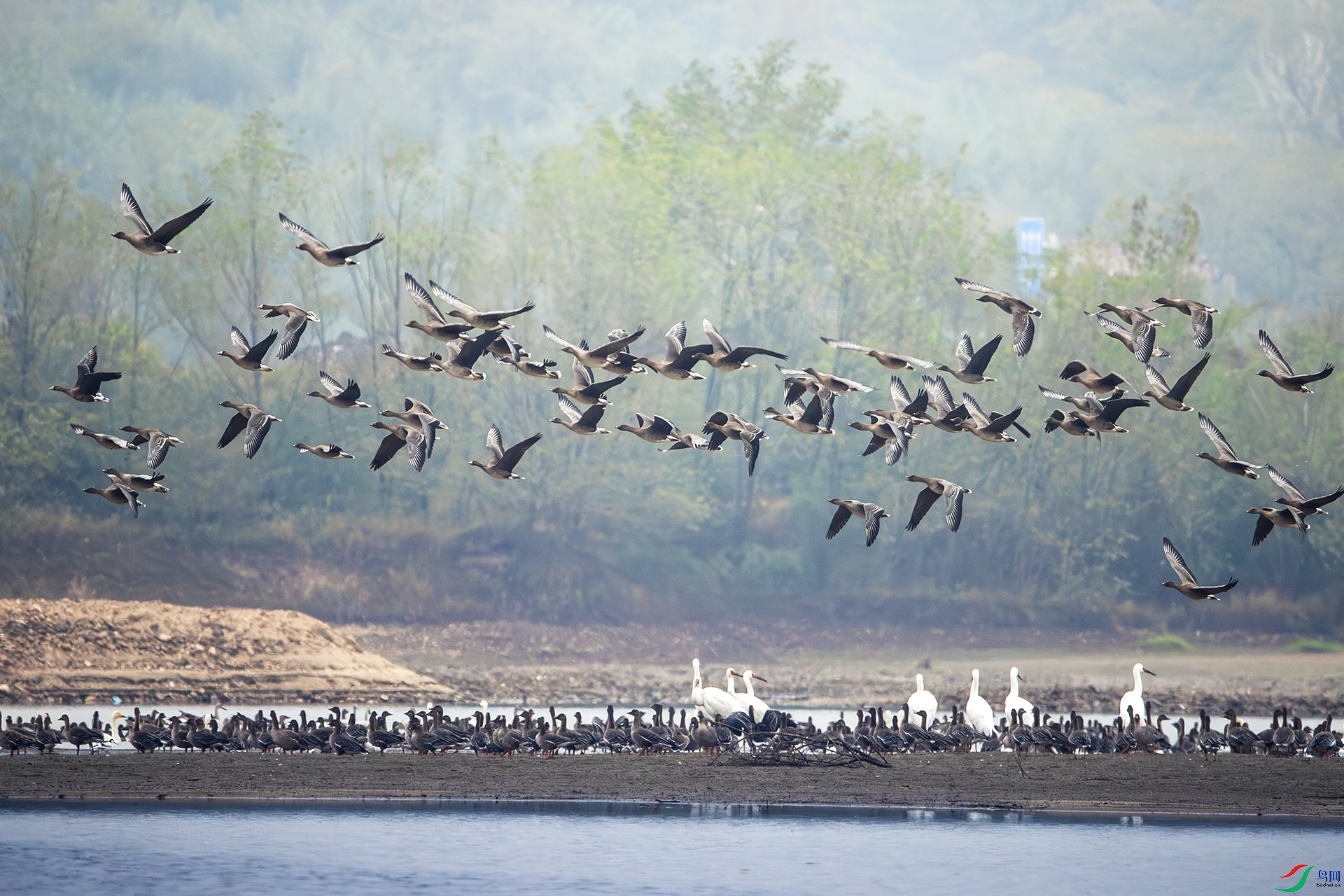 BU3I6117 ����.jpg