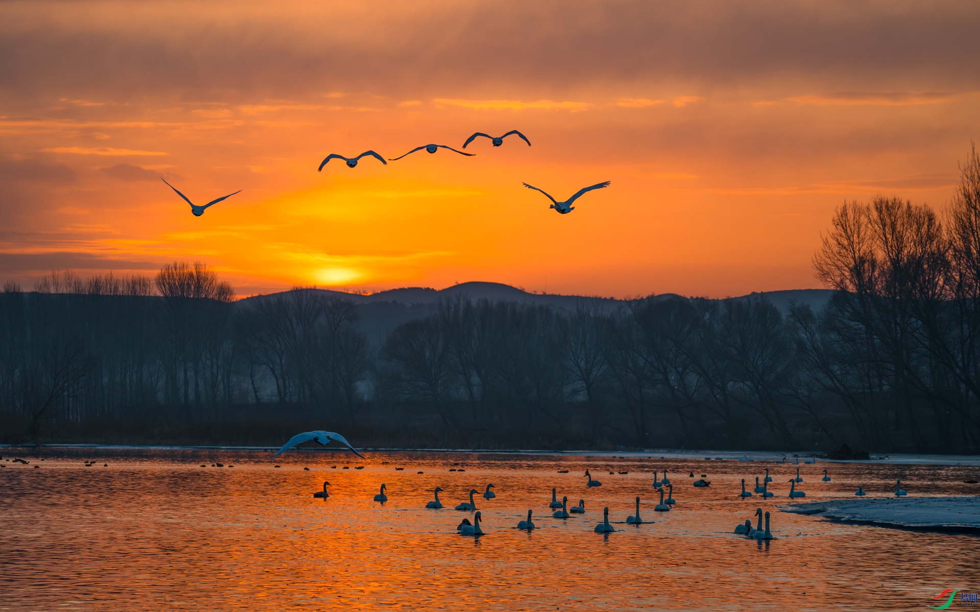 �������� ����֮�� ϼ�����.jpg