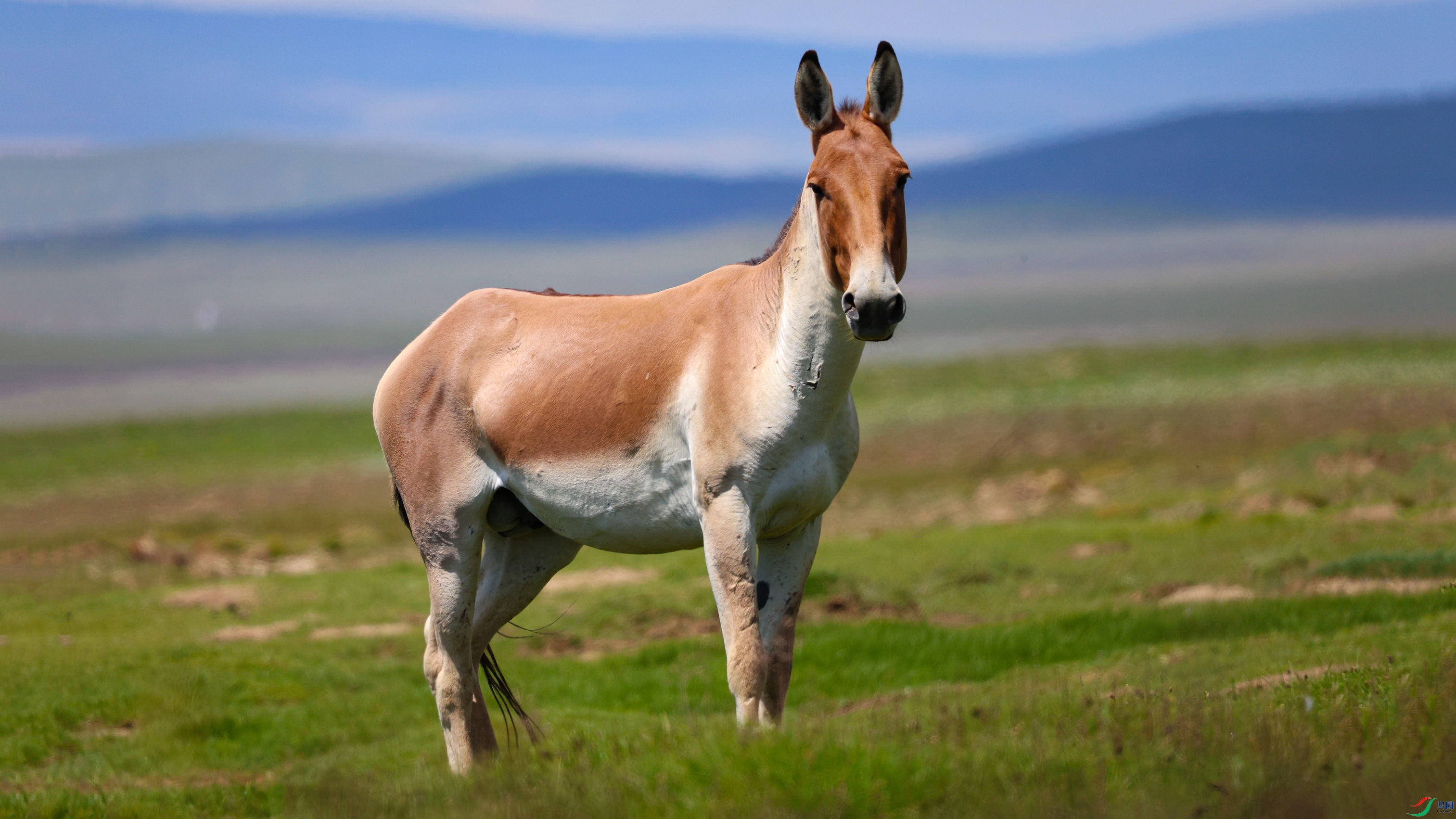 ������ 00.jpg