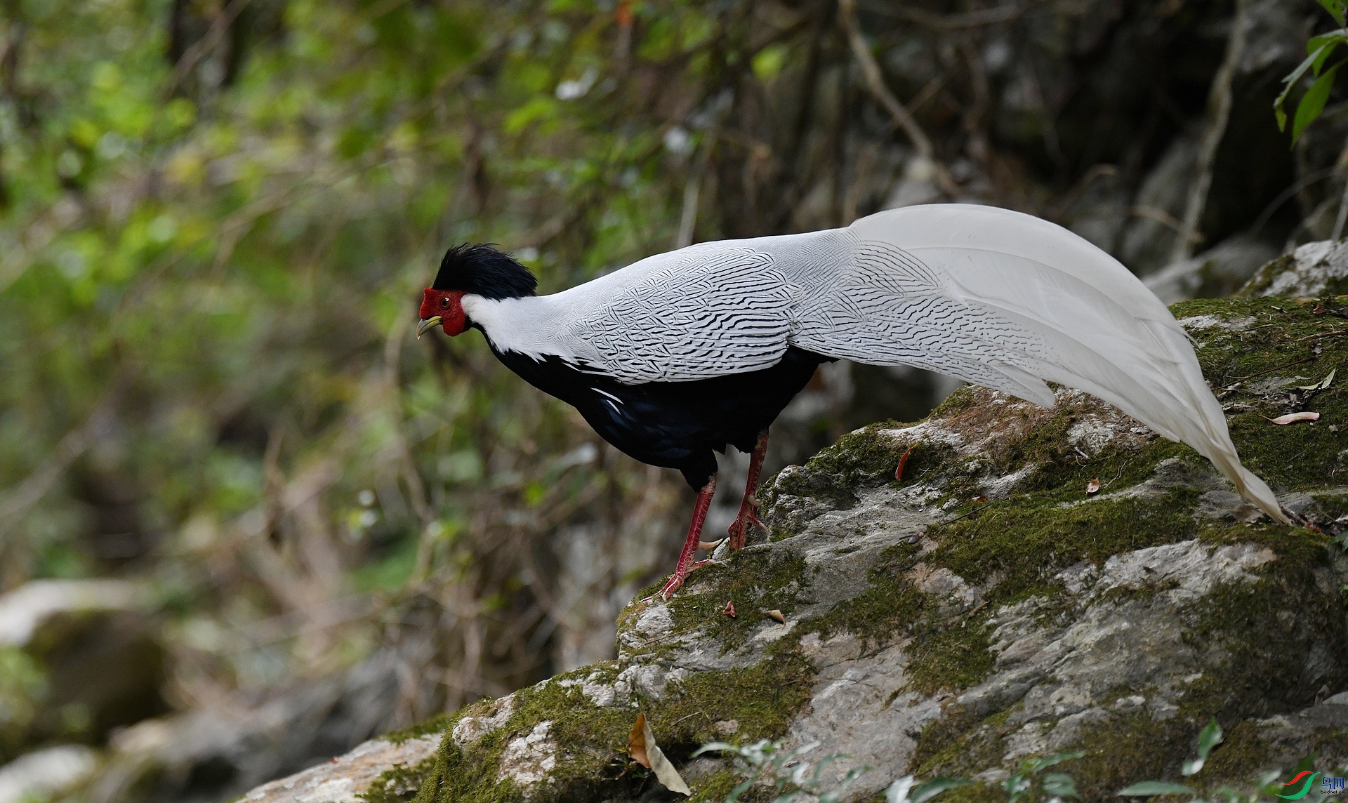DSC_5839.jpg