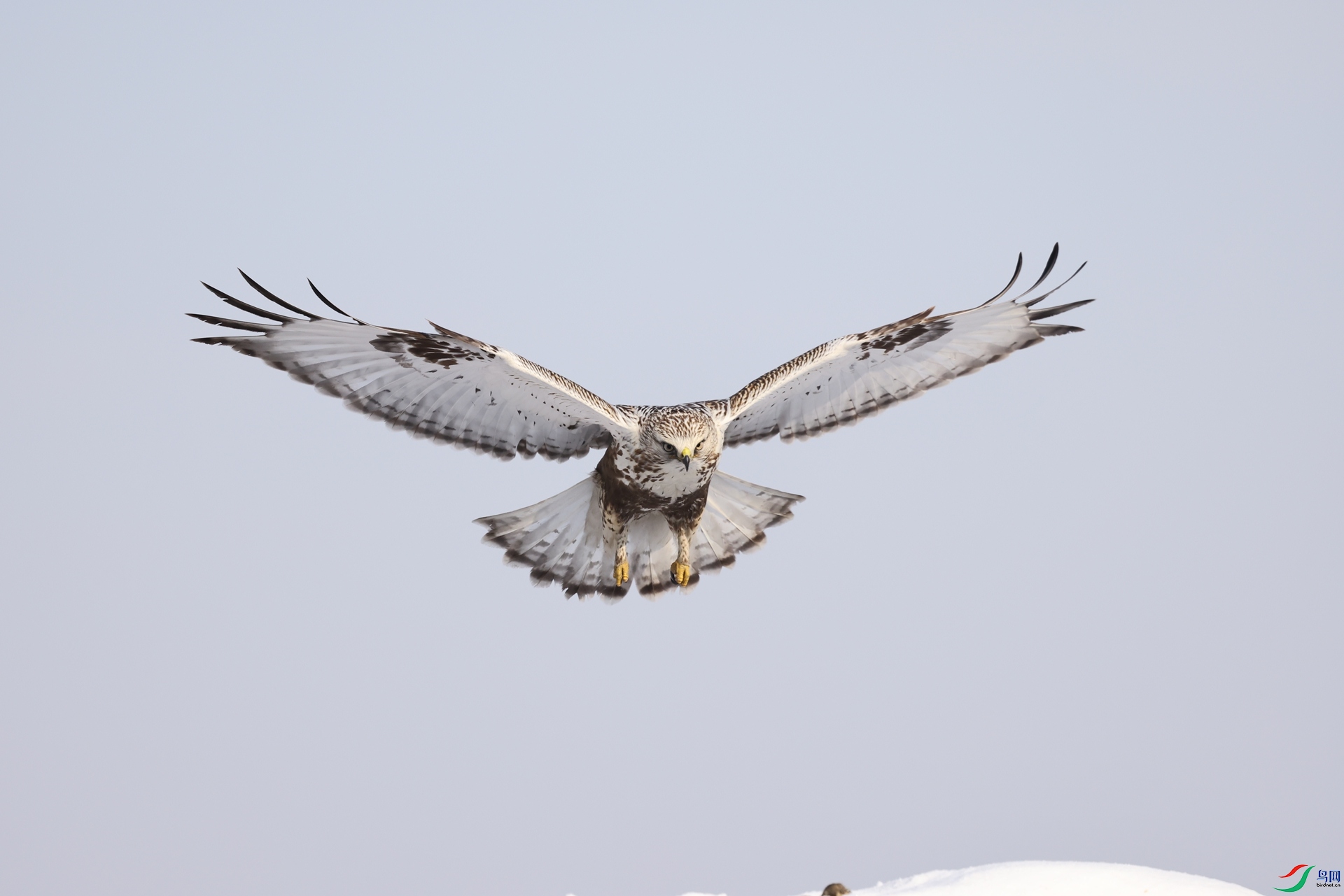 3Q6A5501.JPG