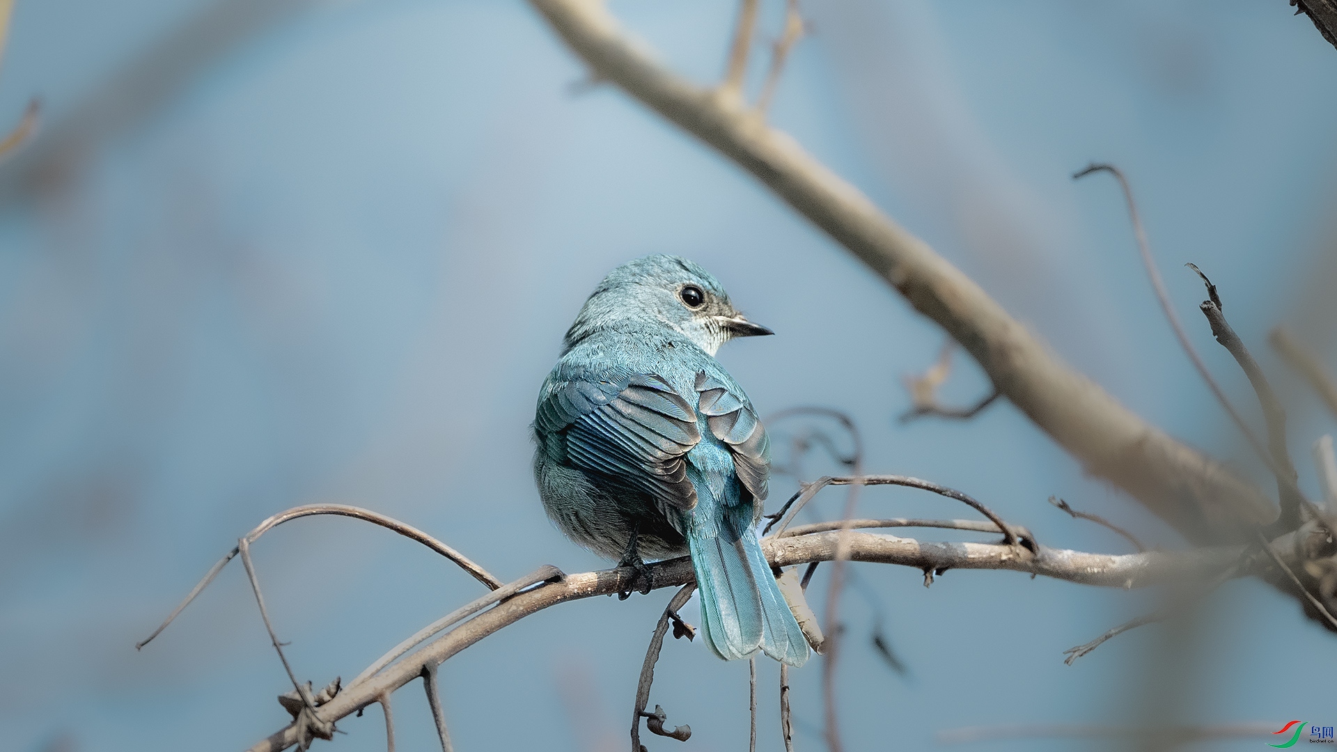 DSC_6612 ����.jpg