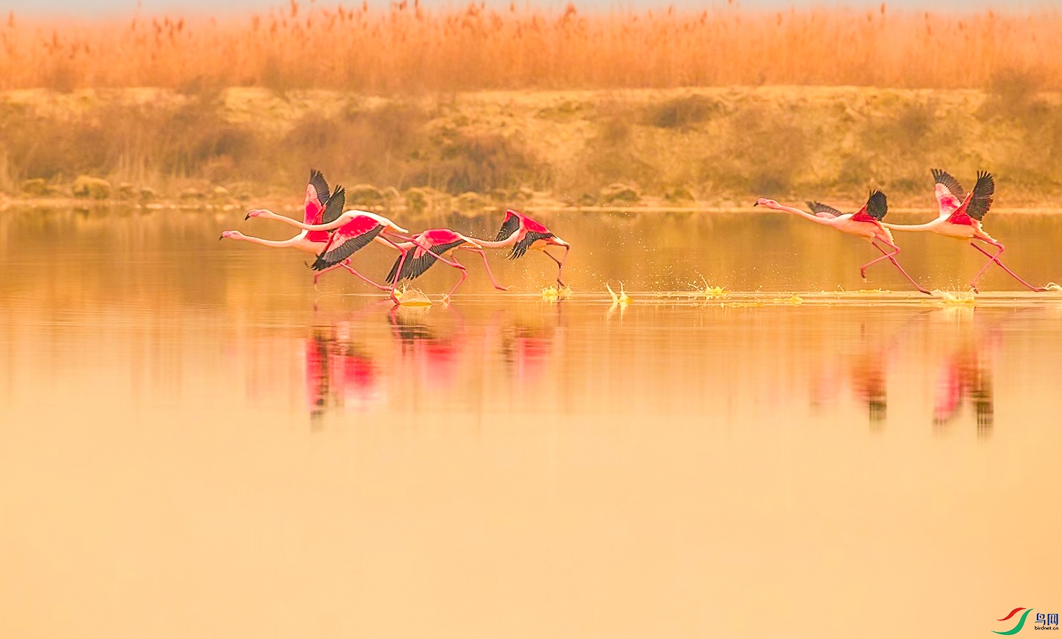 default (11) ���� 2.jpg