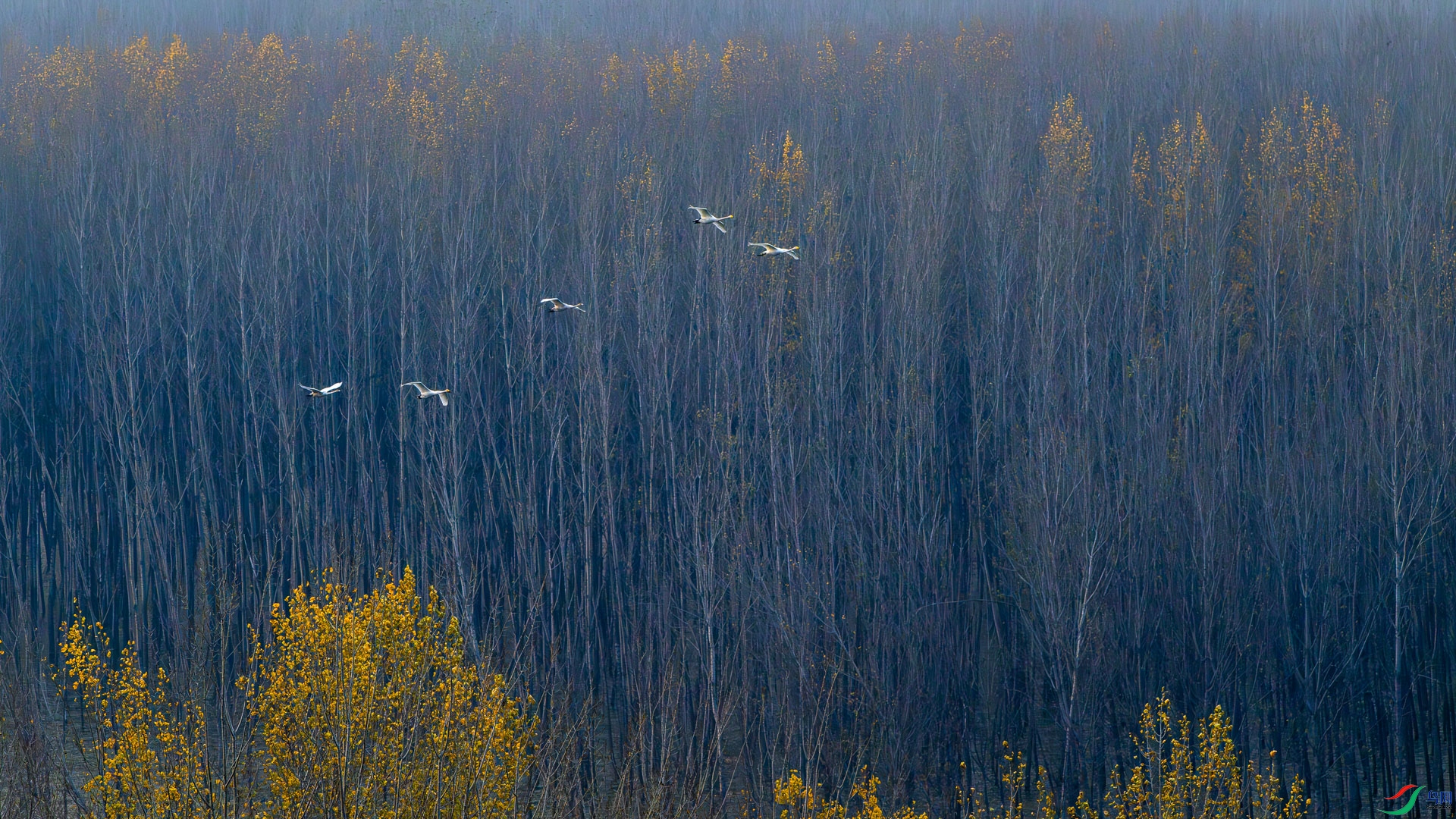 _DSC2712.jpg