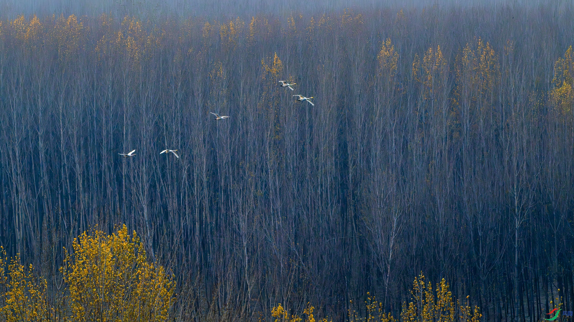 _DSC2716.jpg