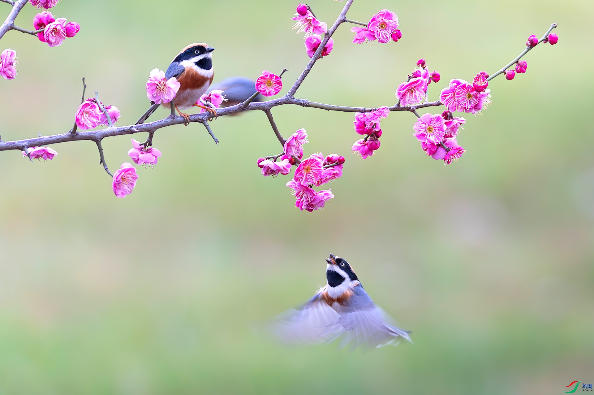 060A7130-----33  .jpg