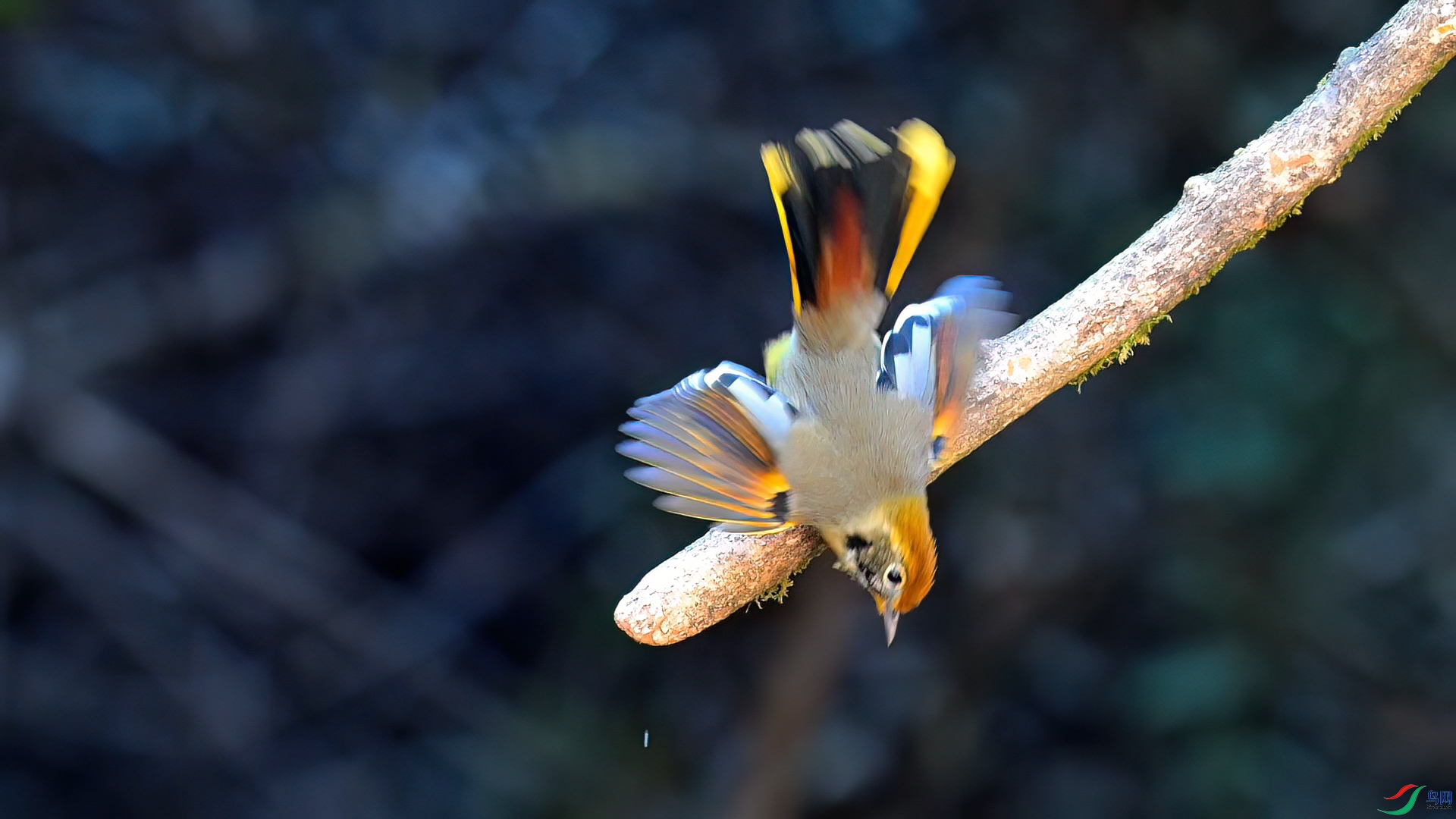 2��15�� (1)(1).jpg