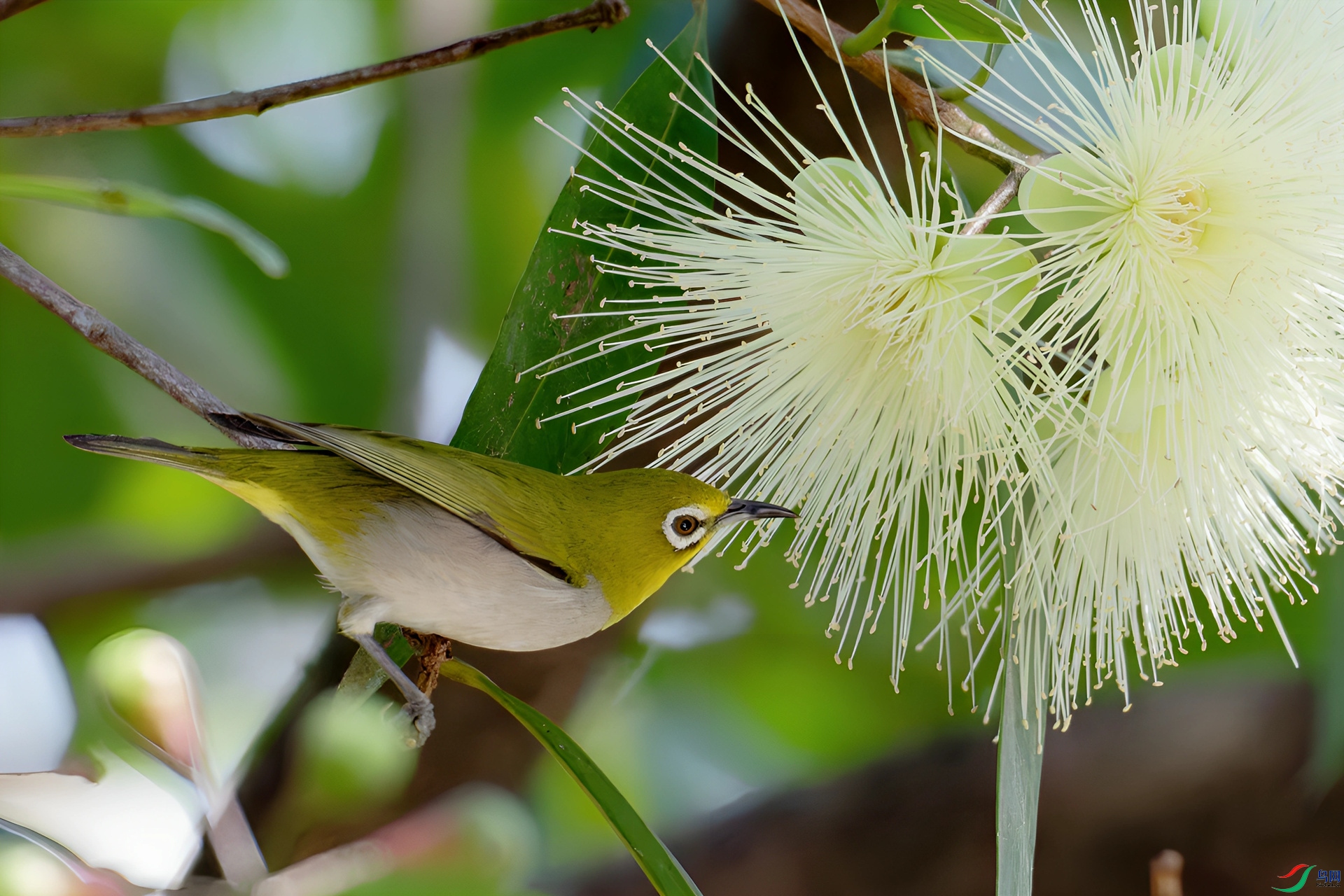 DSC_6966-DxO_DeepPRIME XD2s_DxO_����.jpg