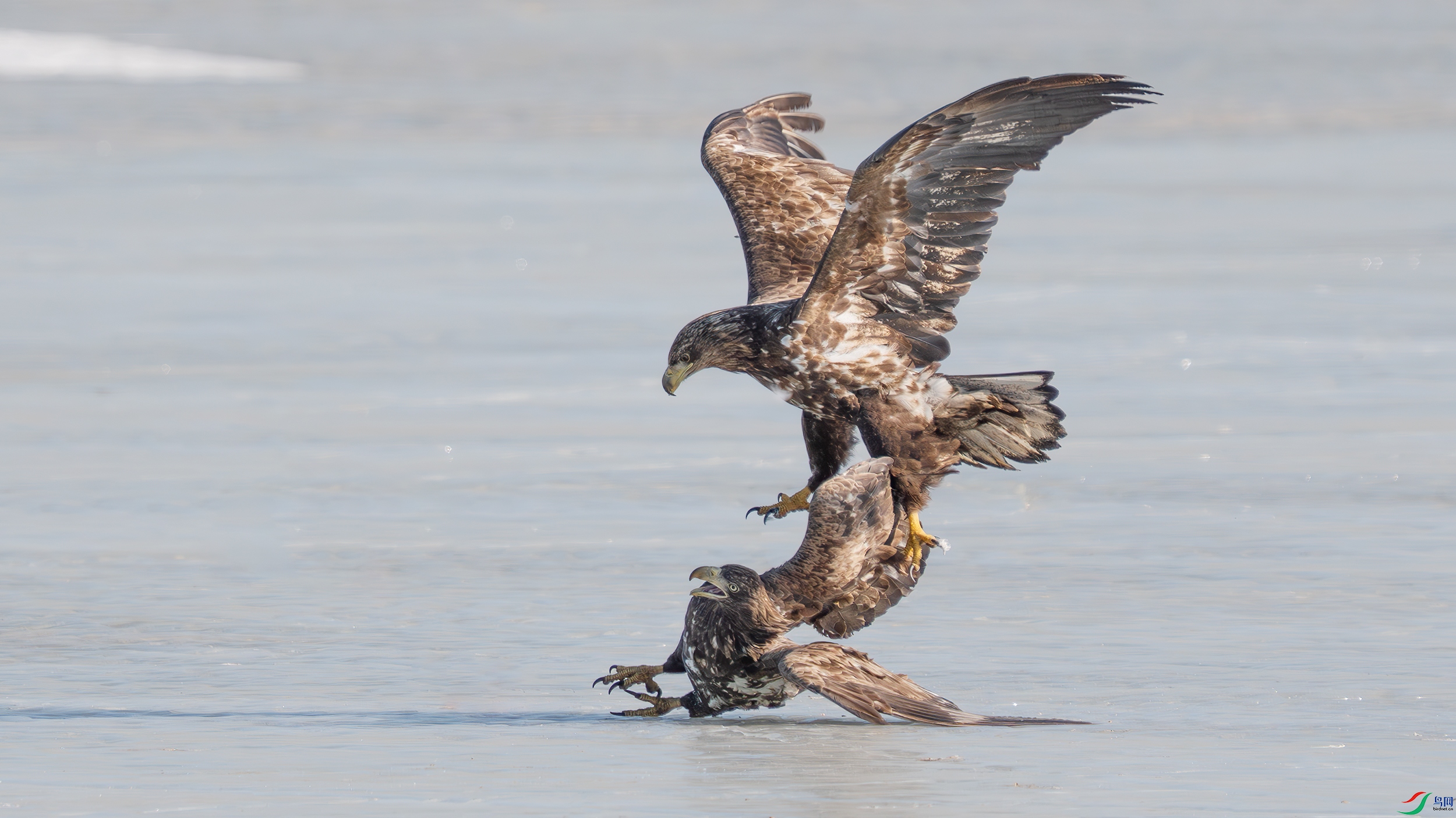 _DSC2302 ����.jpg