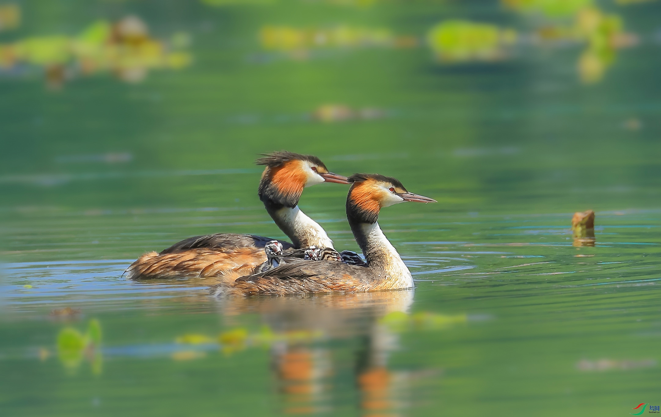 L10A0210 ����_���� ����.jpg