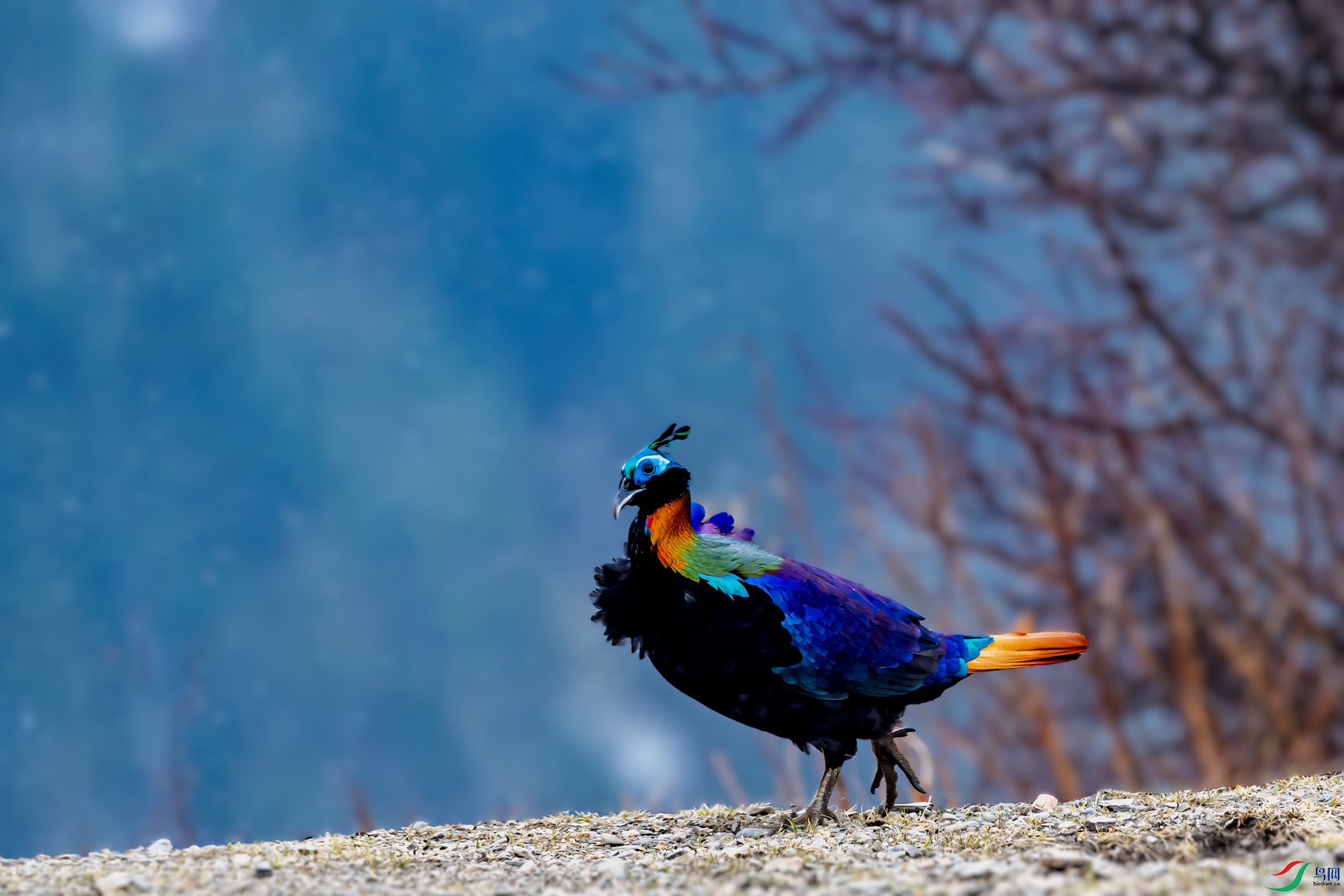 _DSC6110-11.jpg