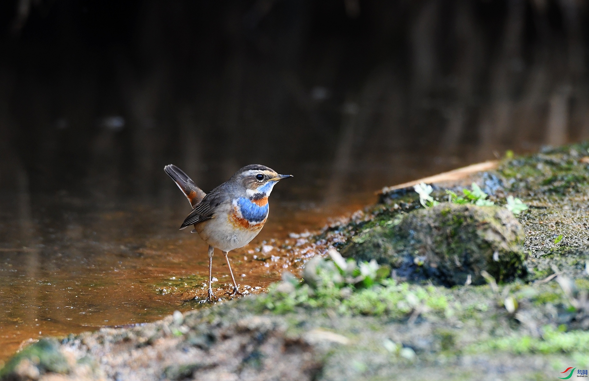 DSC_7176.jpg
