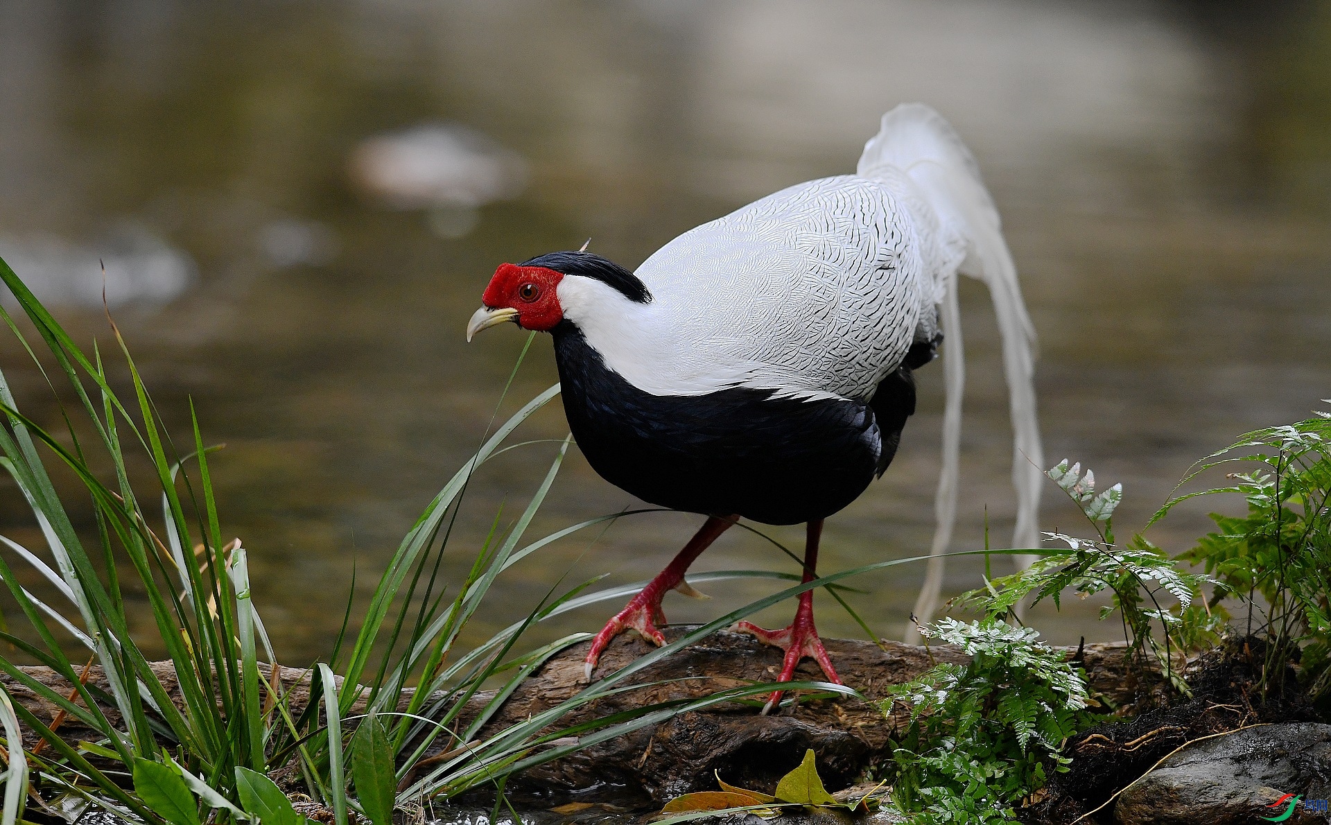 DSC_7183.jpg