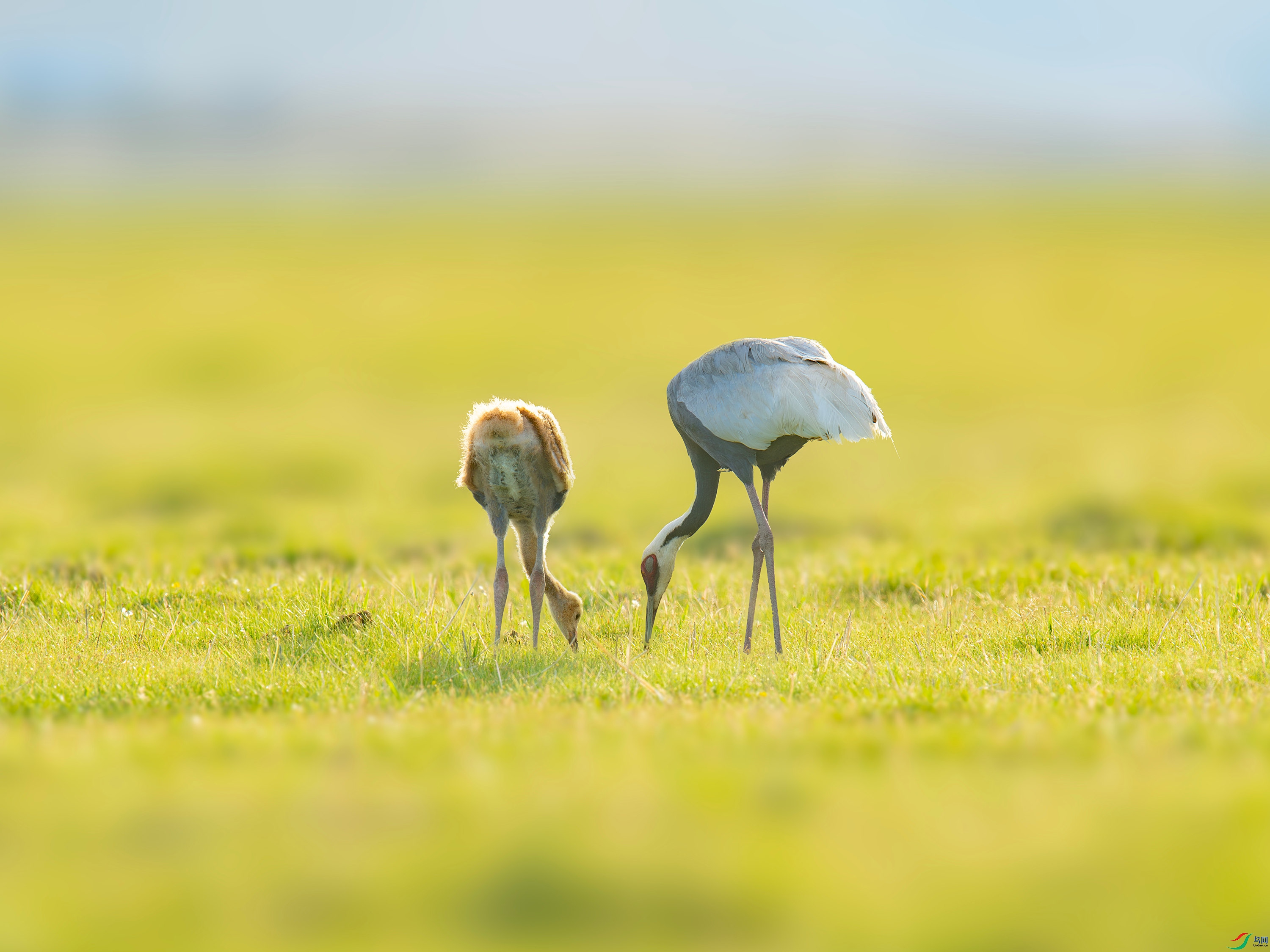 ������  (2).jpg