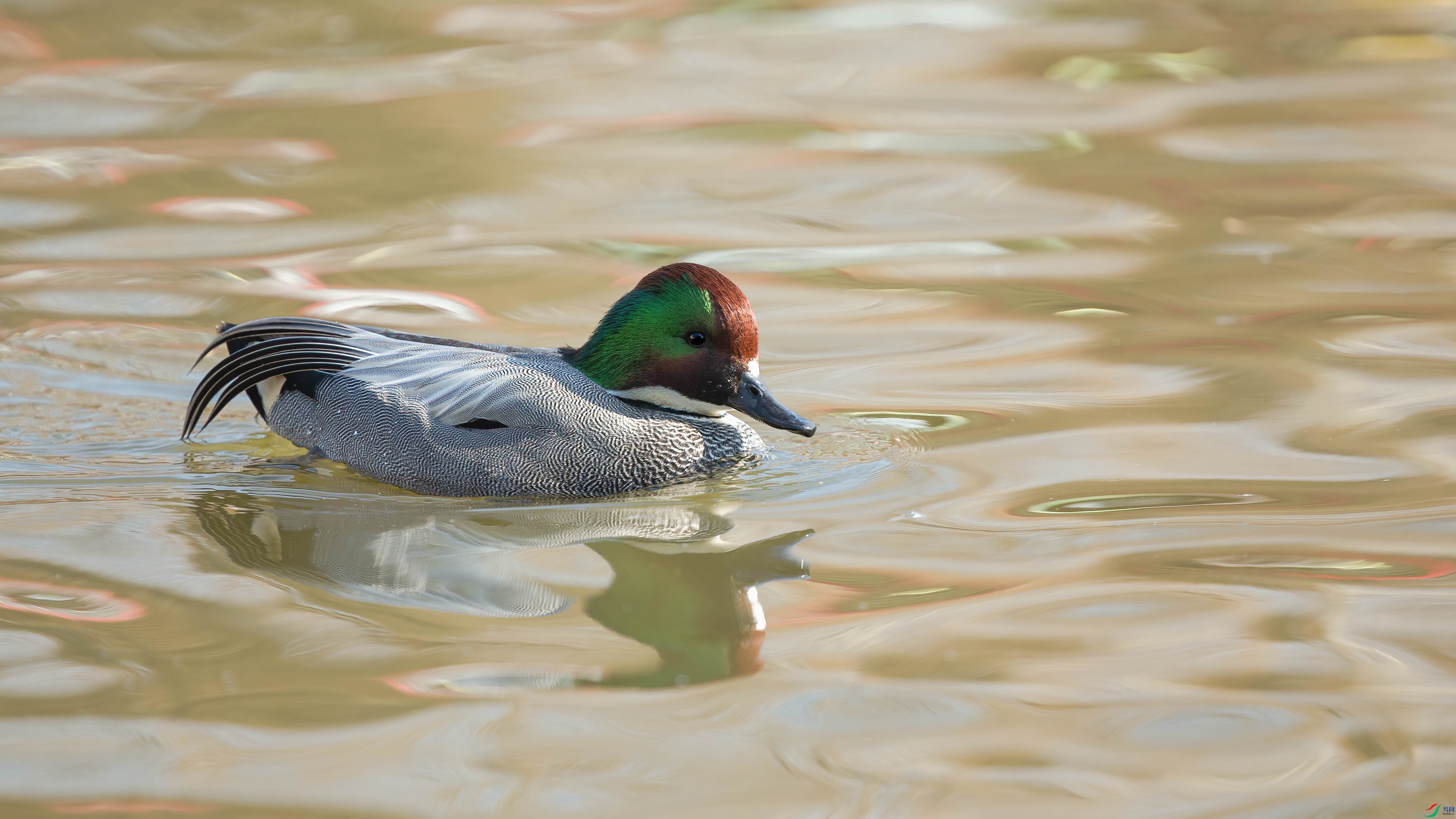 a_06450-1.jpg