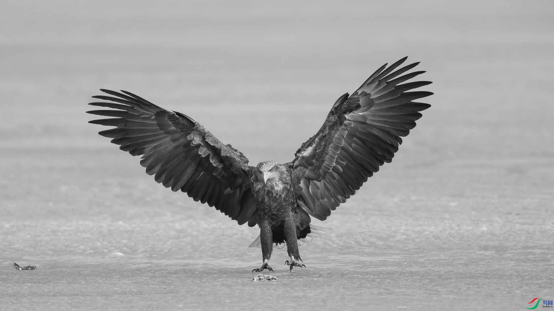 DSC_7983_01.JPG