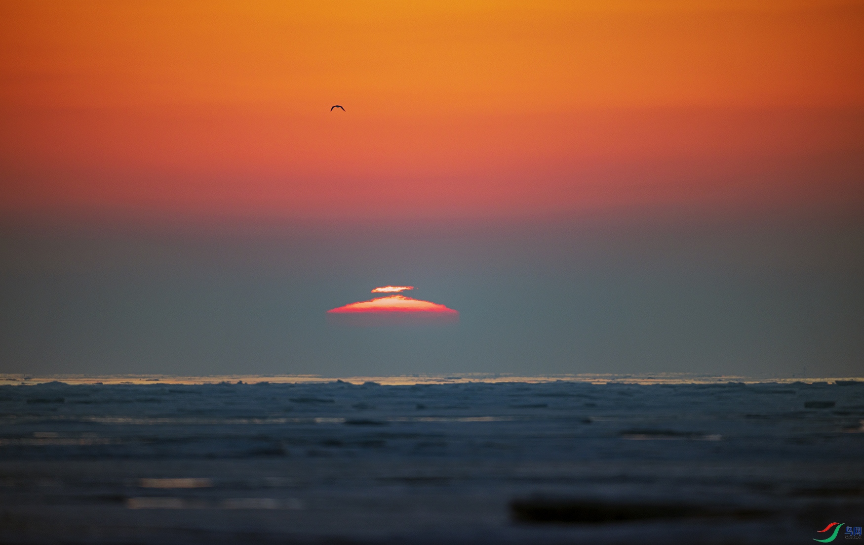 _5LM0228a.jpg