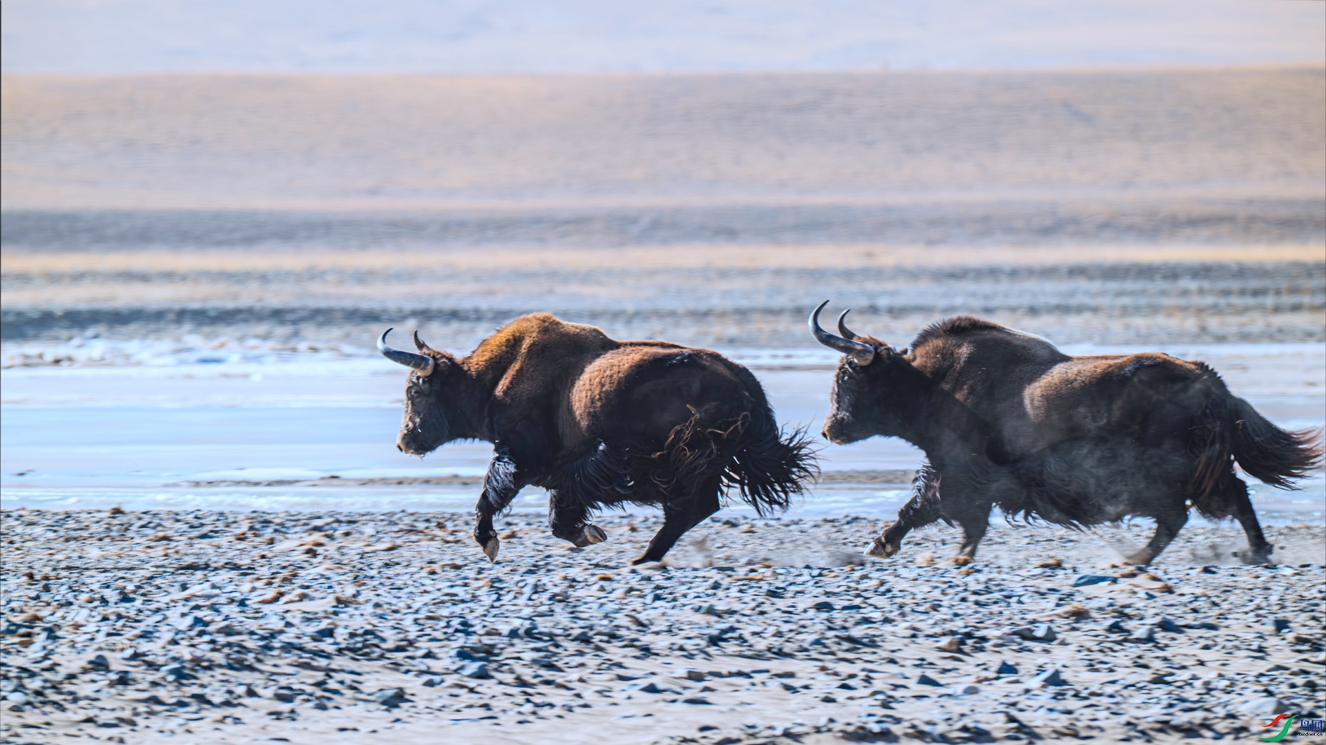 _DSC6864 ����_����.jpg