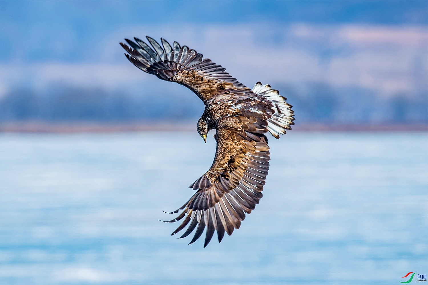 _DSC1303 p.jpg