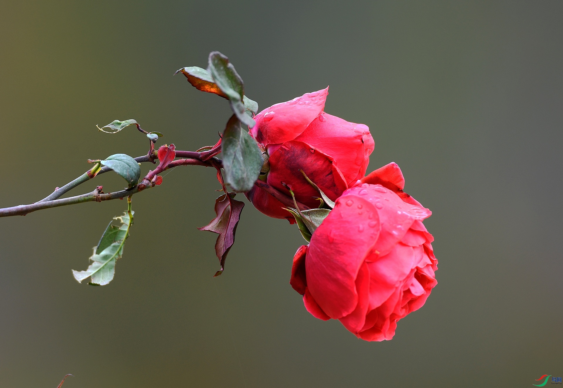 DSC_0476.jpg