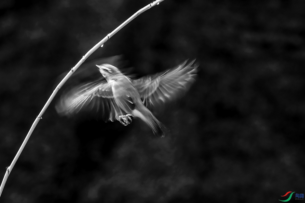 DSC_1014`.jpg