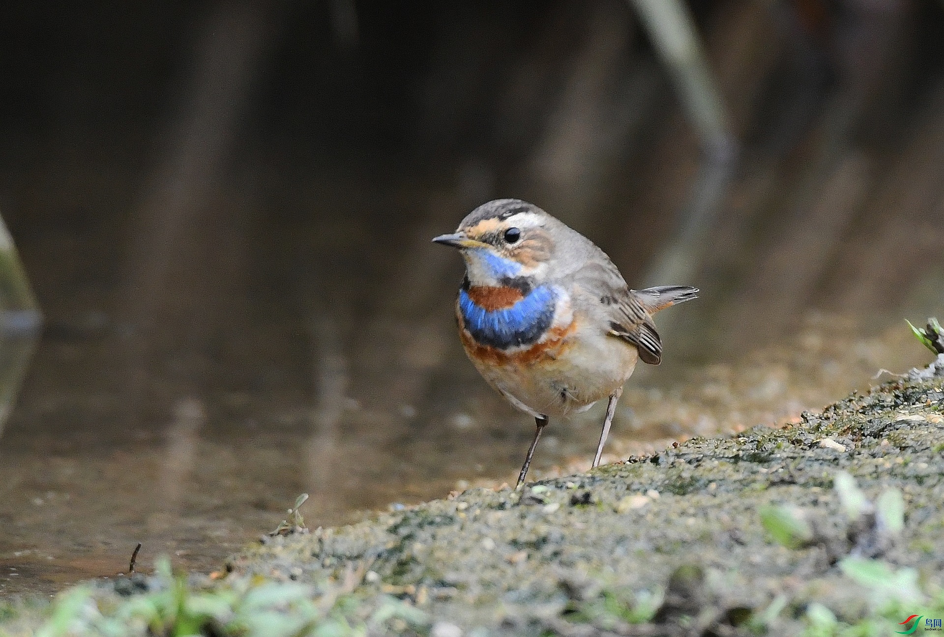 DSC_0577.jpg
