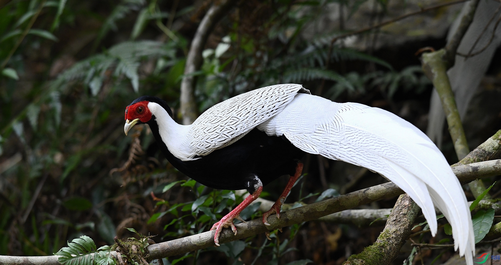 DSC_2631.jpg
