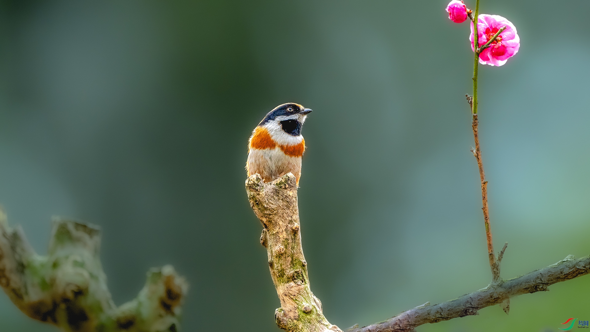 DSC_7978.jpg