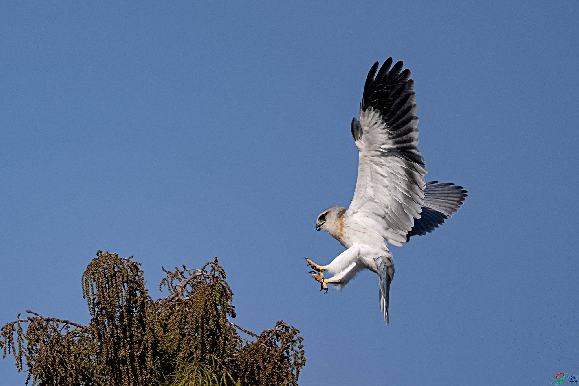 DSC_1989.jpg