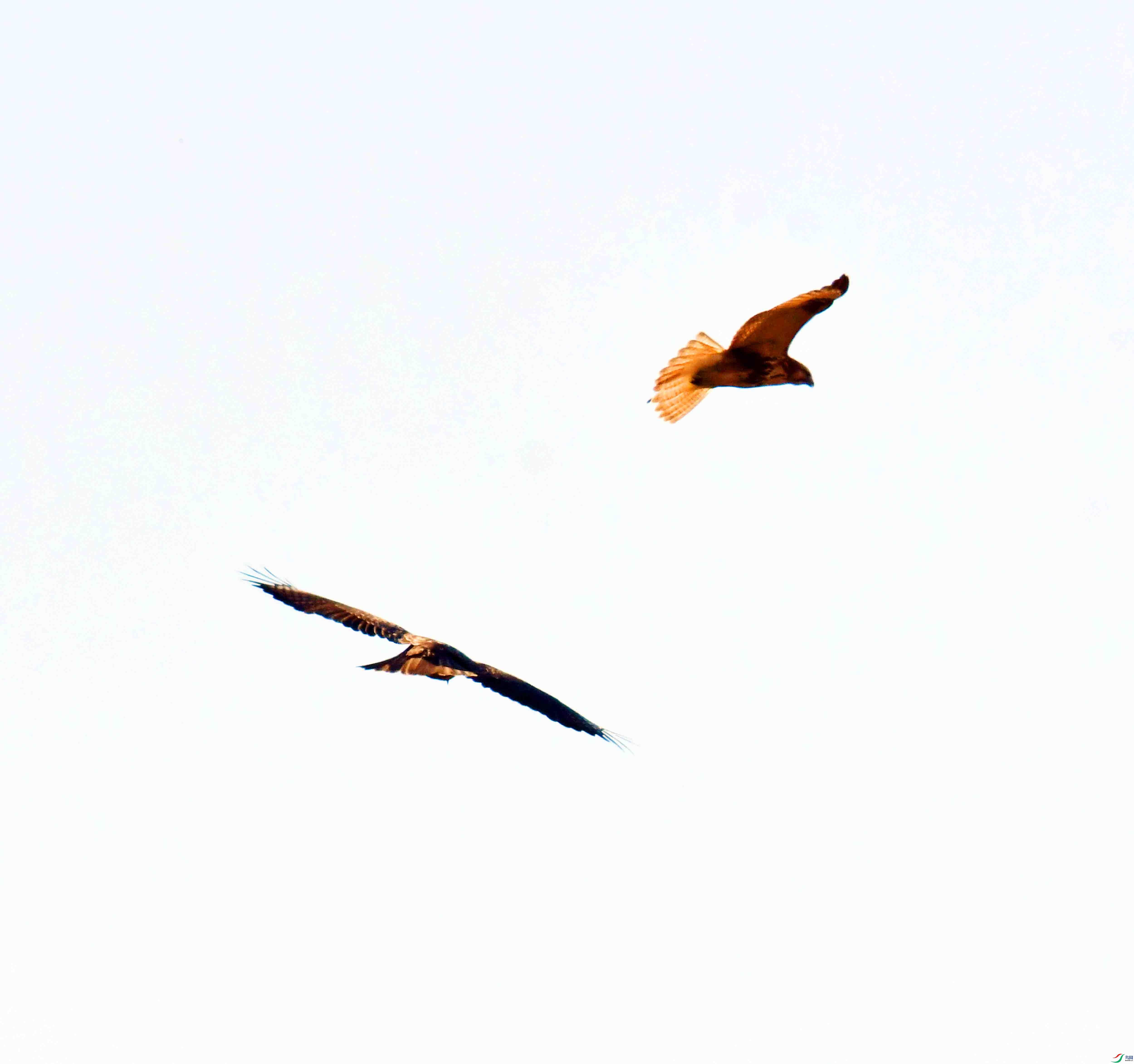 DSC_6562.JPG