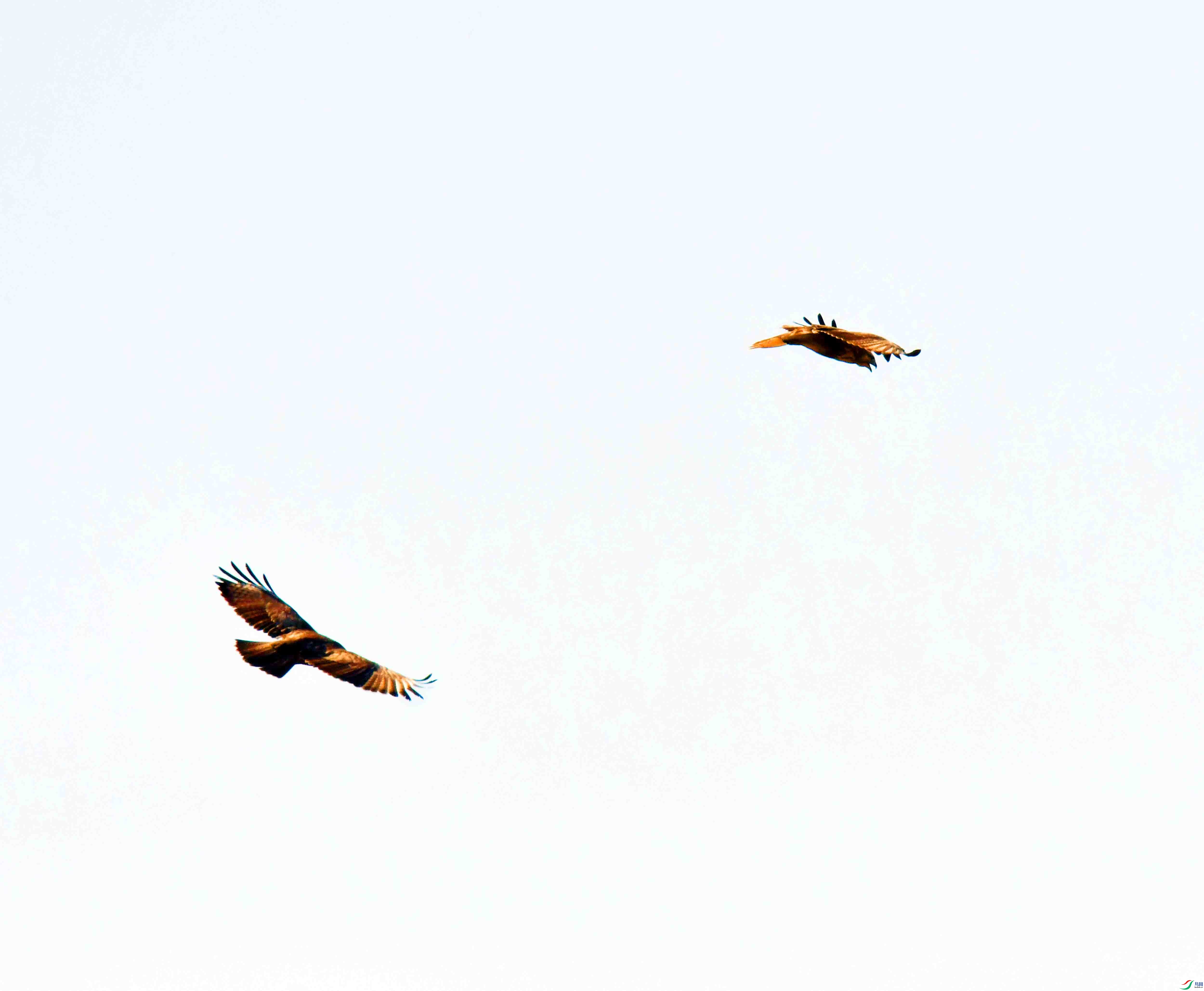 DSC_6565.JPG