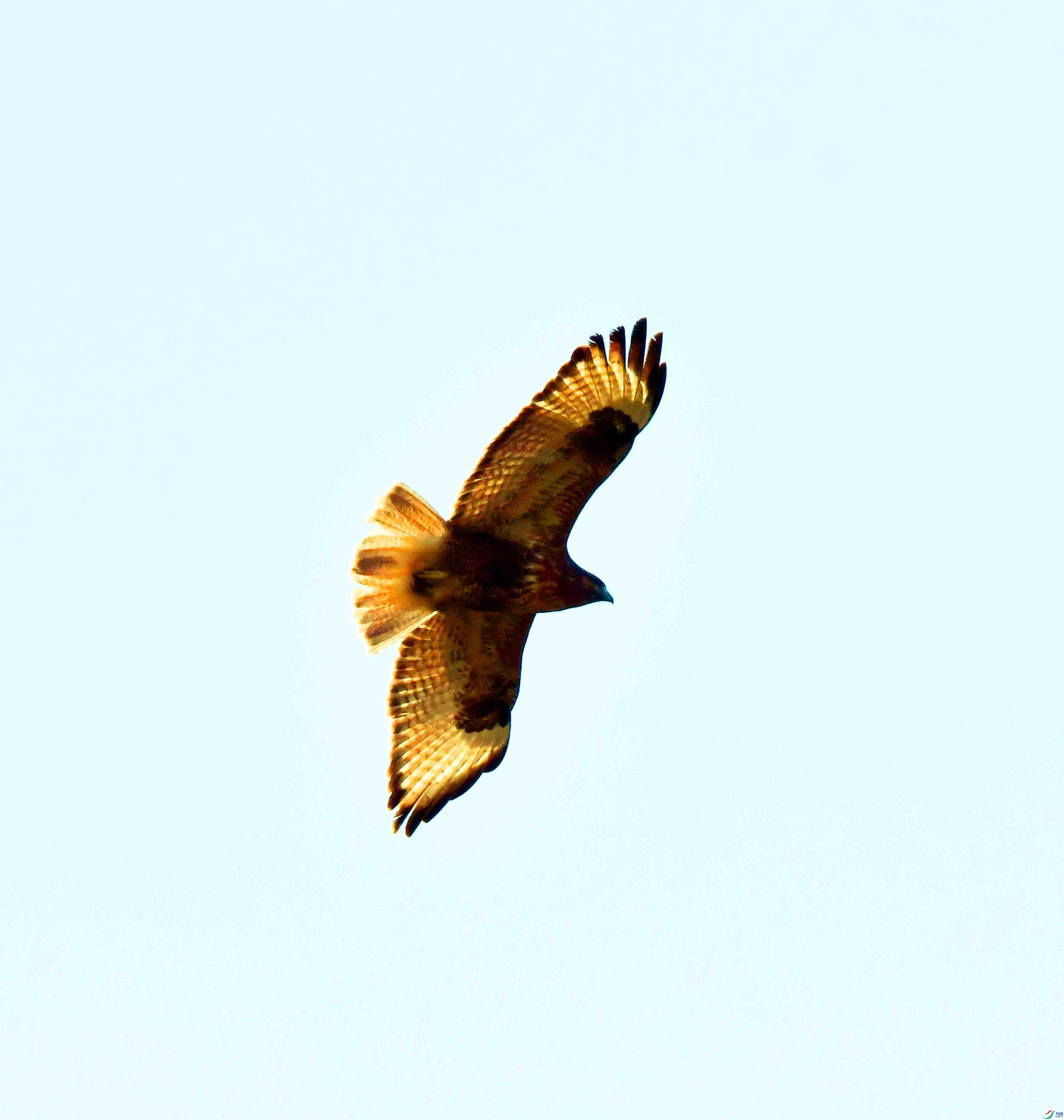 DSC_6607.JPG