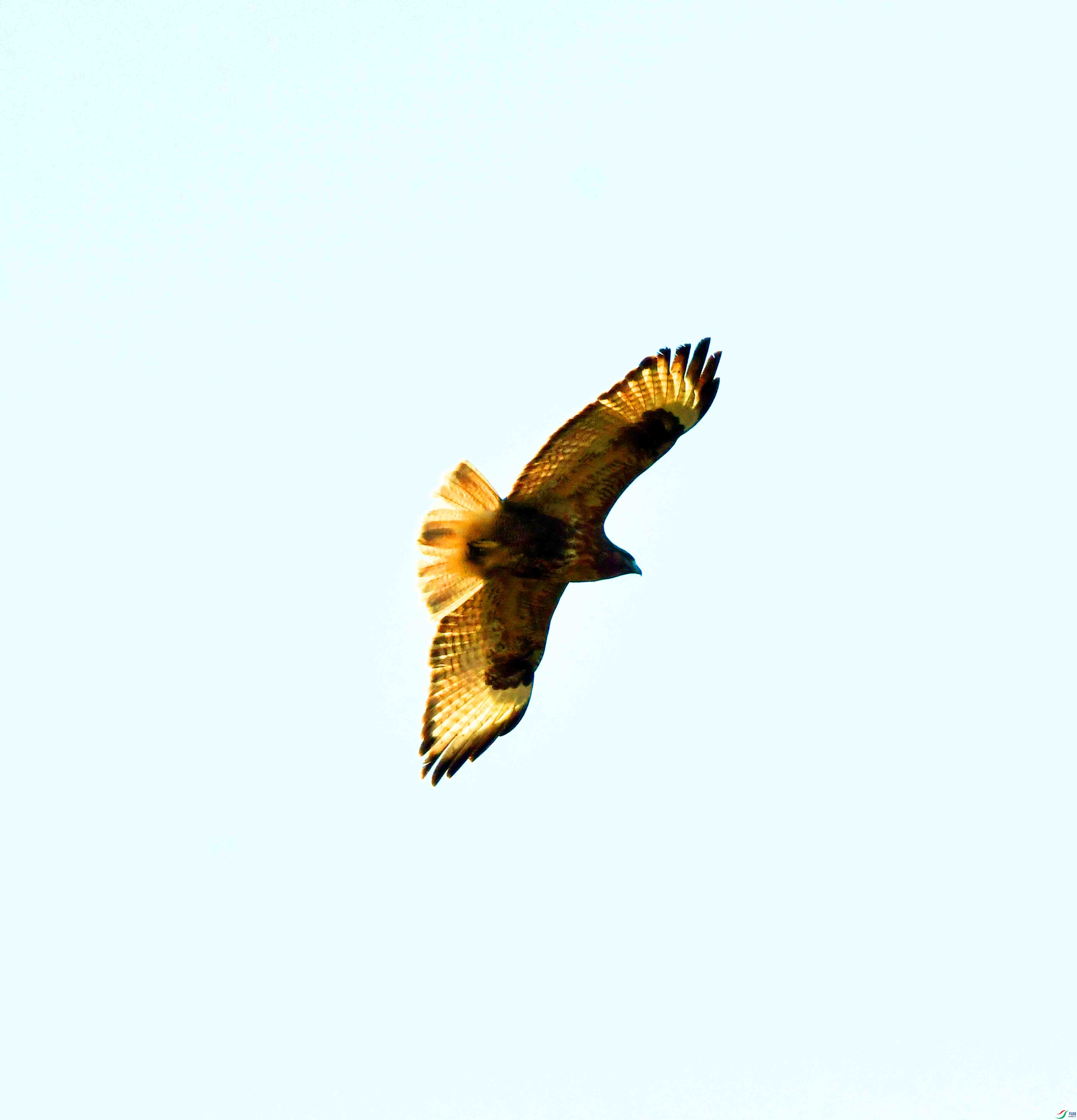 DSC_6608.JPG