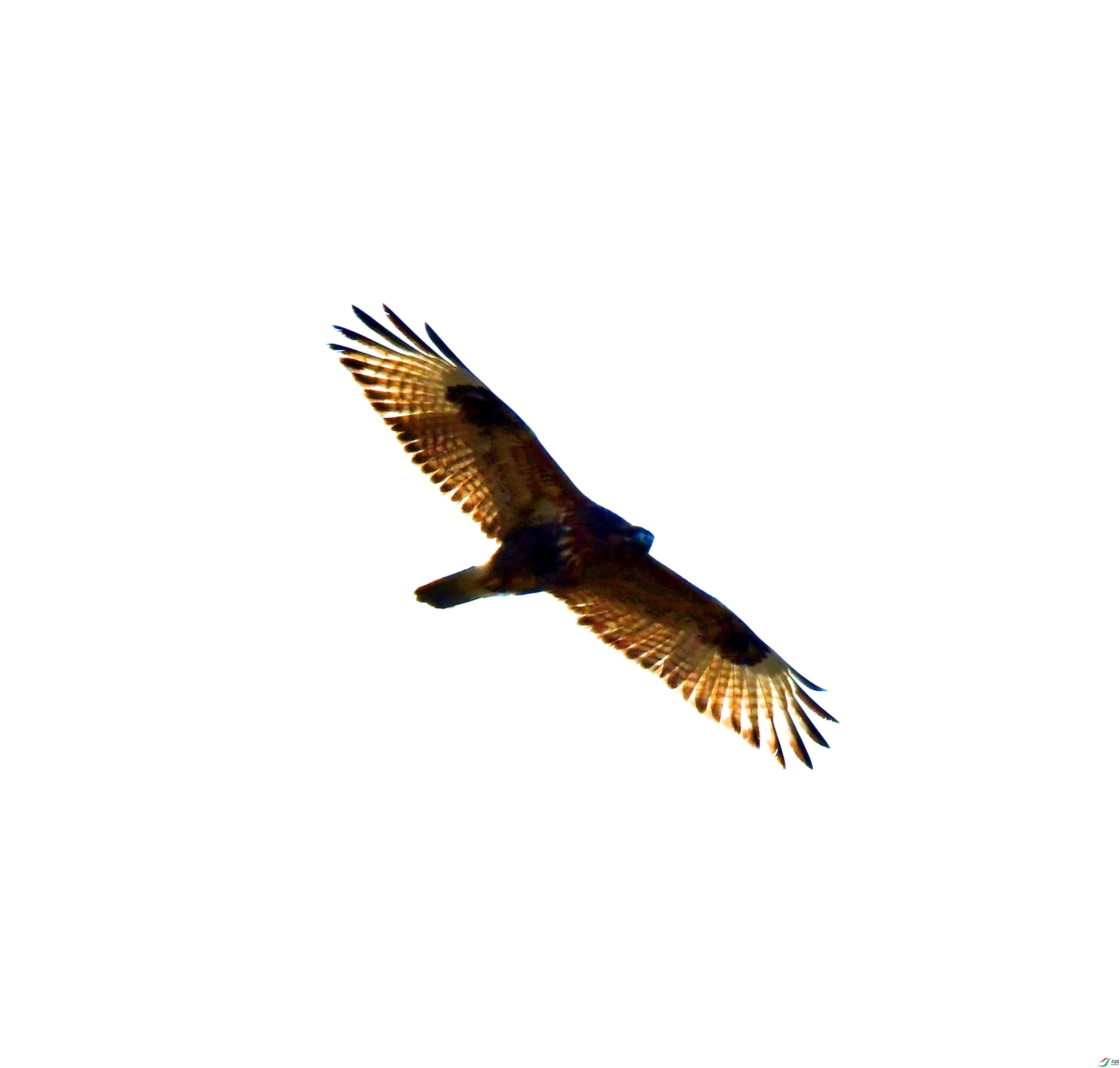 DSC_6619.JPG