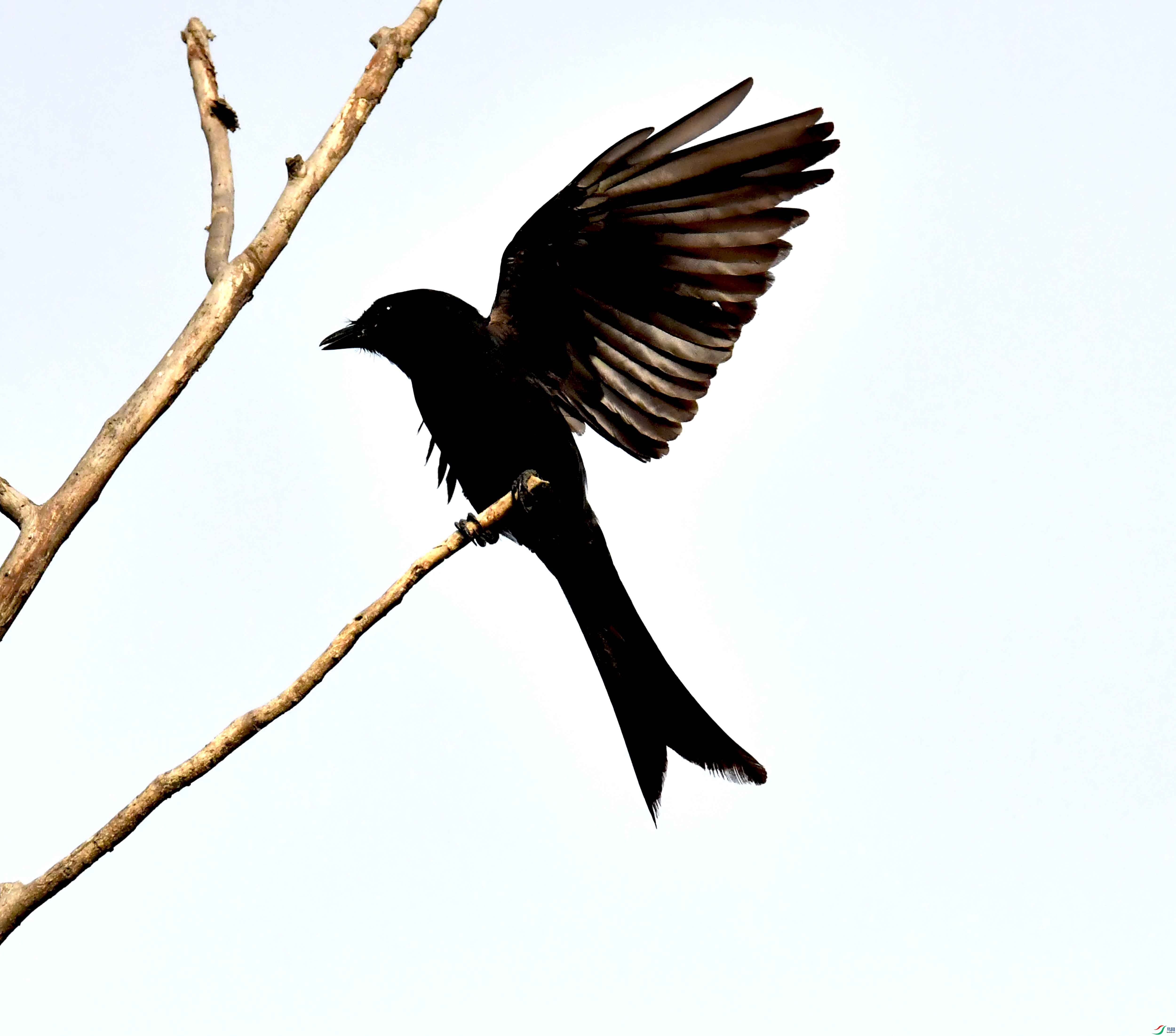DSC_4507.JPG
