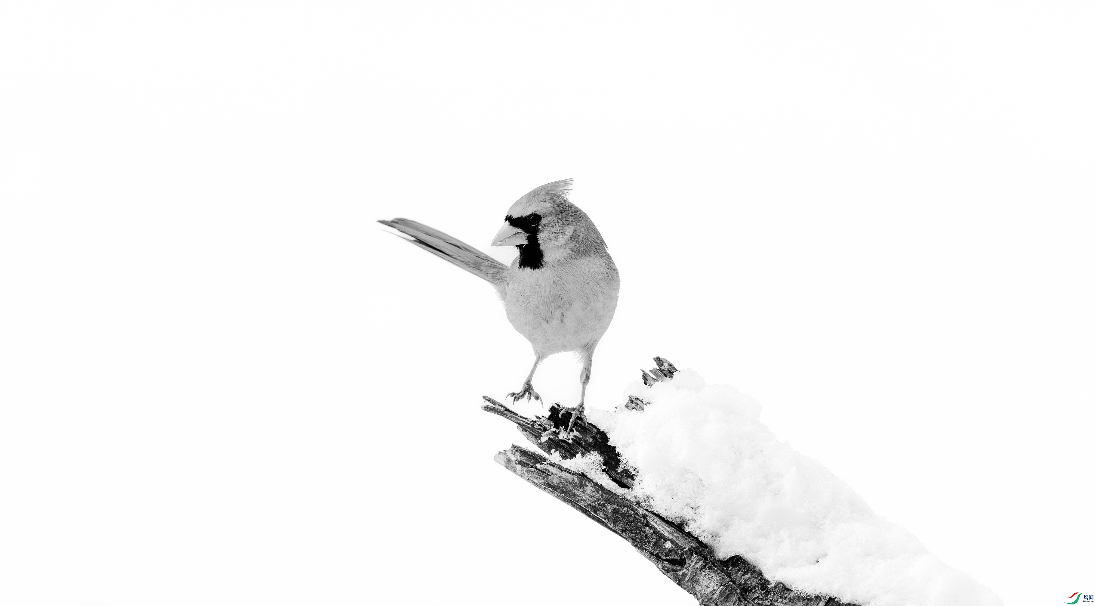 412A4835-1-2_����=00.jpg