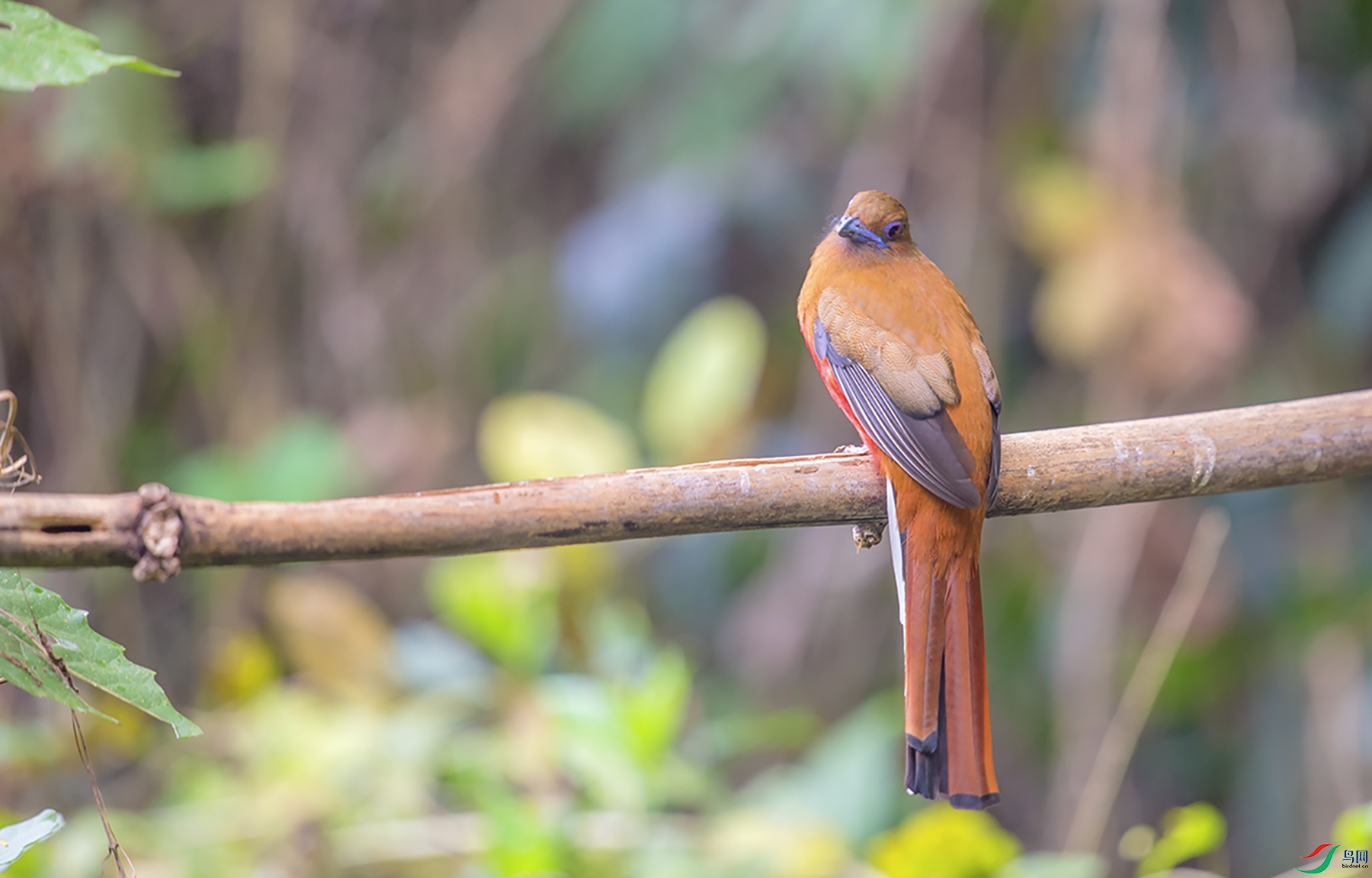 _DSC9579.jpg