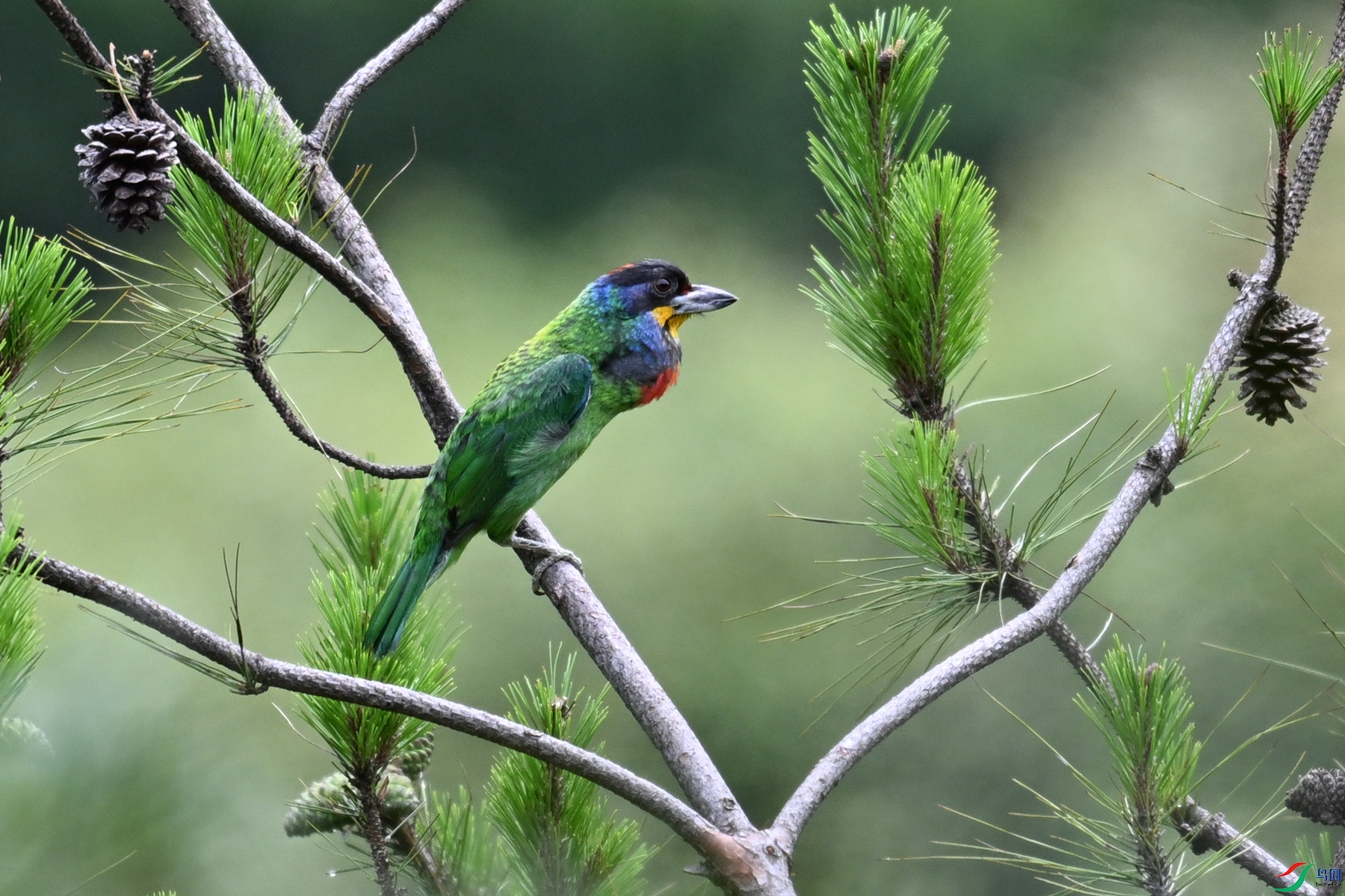 DSC_1700.JPG