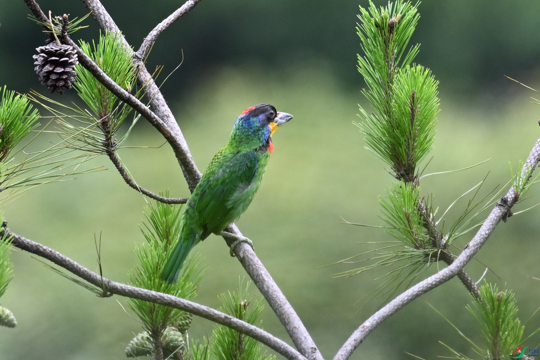 DSC_1716.JPG