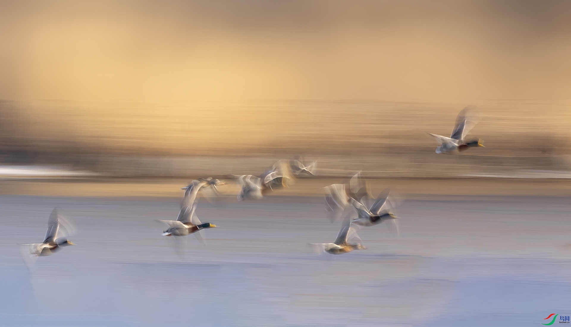 019A5478 ����2.jpg