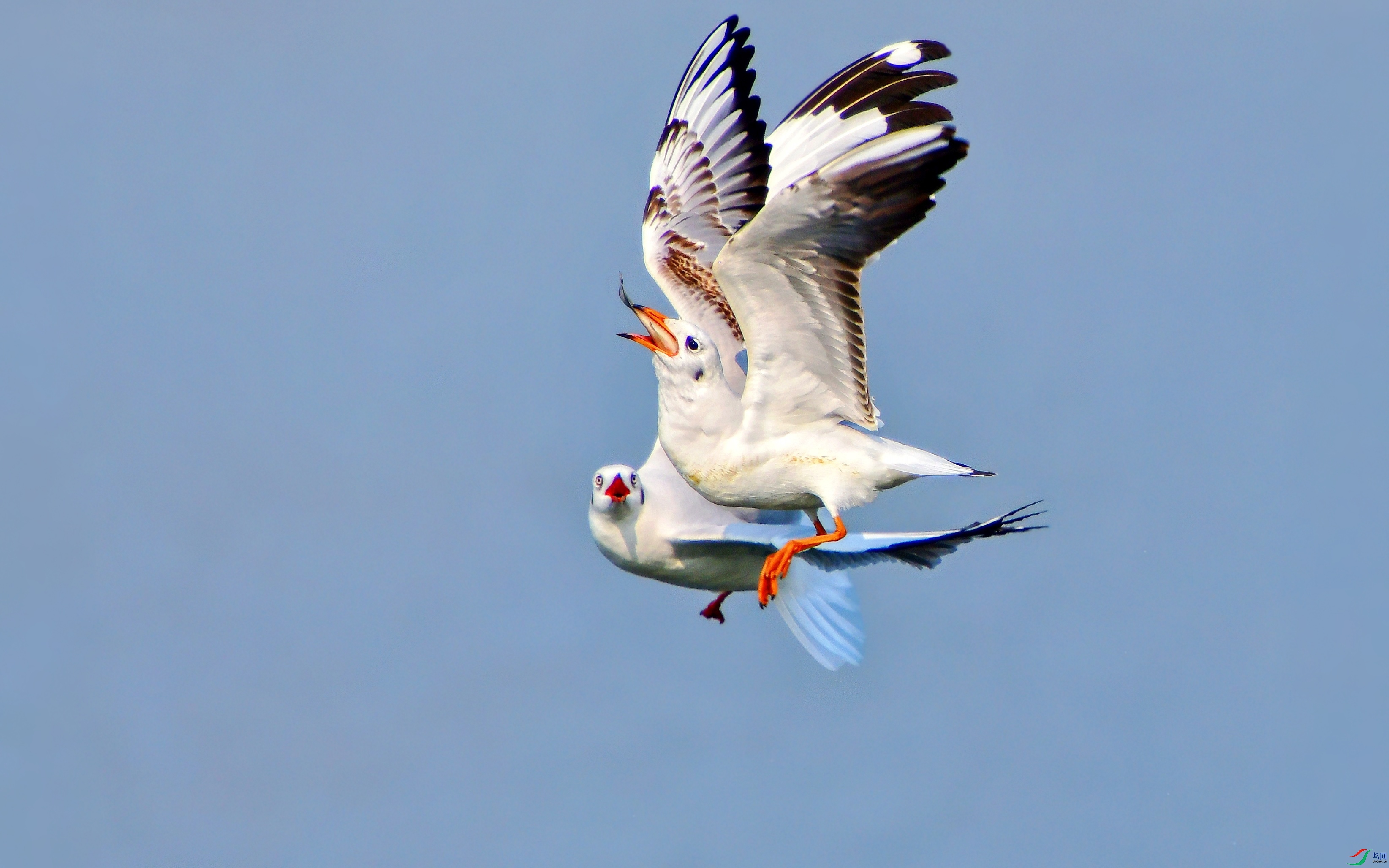 DSC_8671_conew11.jpg