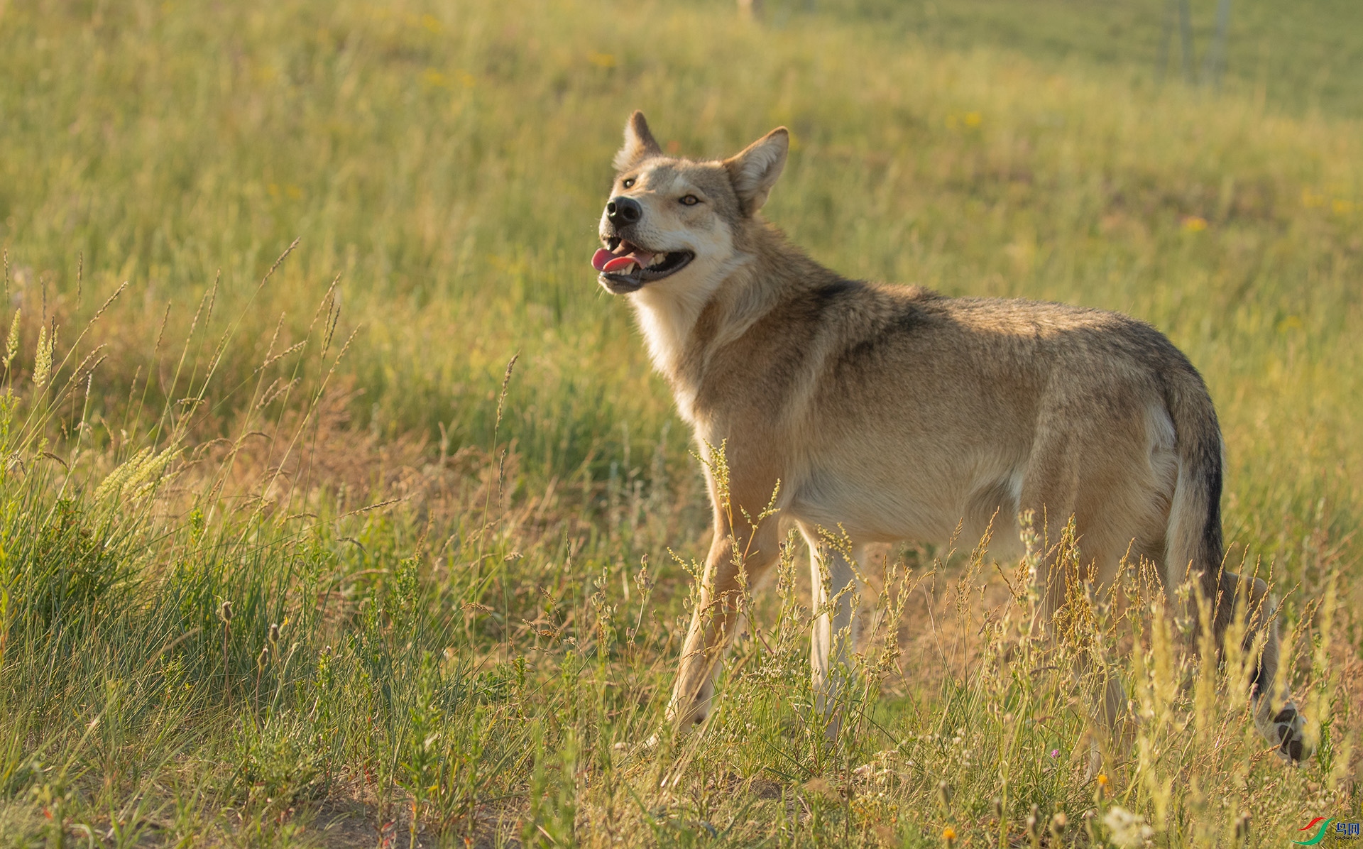 _K8I4602  03.jpg